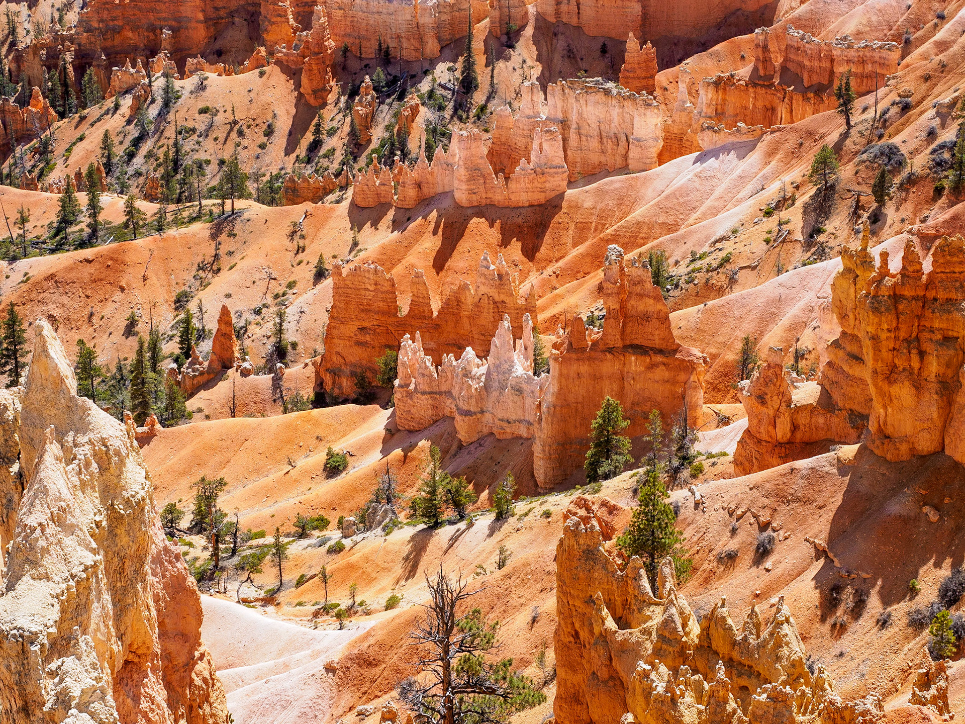 16417391 Near Sunset and Sunrise Points