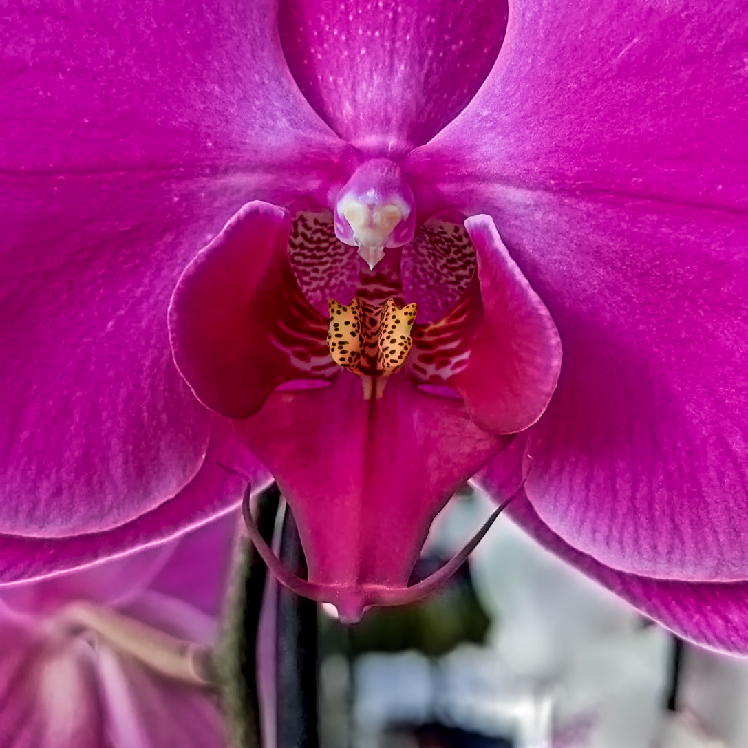 PXL_20220205_173344376