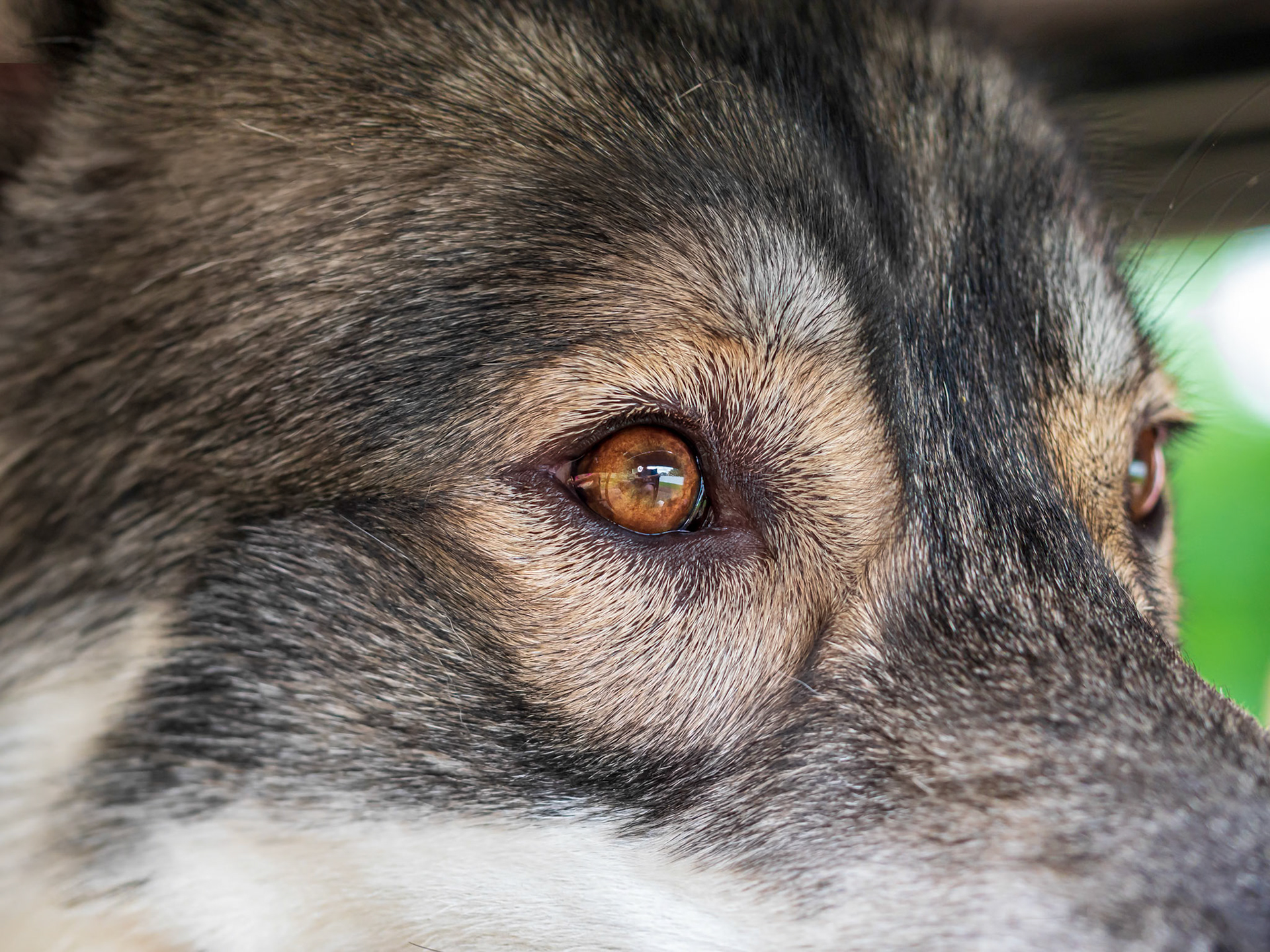 21820134 Eye on the Prize