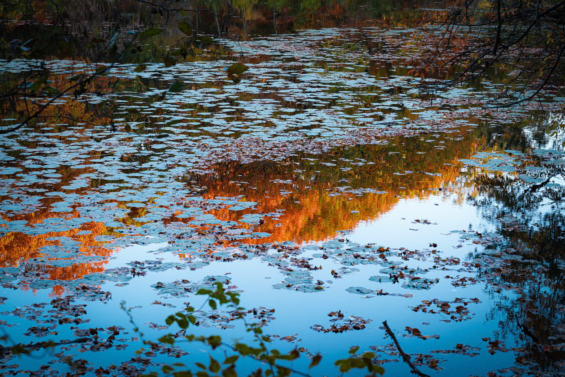 241022-302 Reflections on Longfellow Pond
