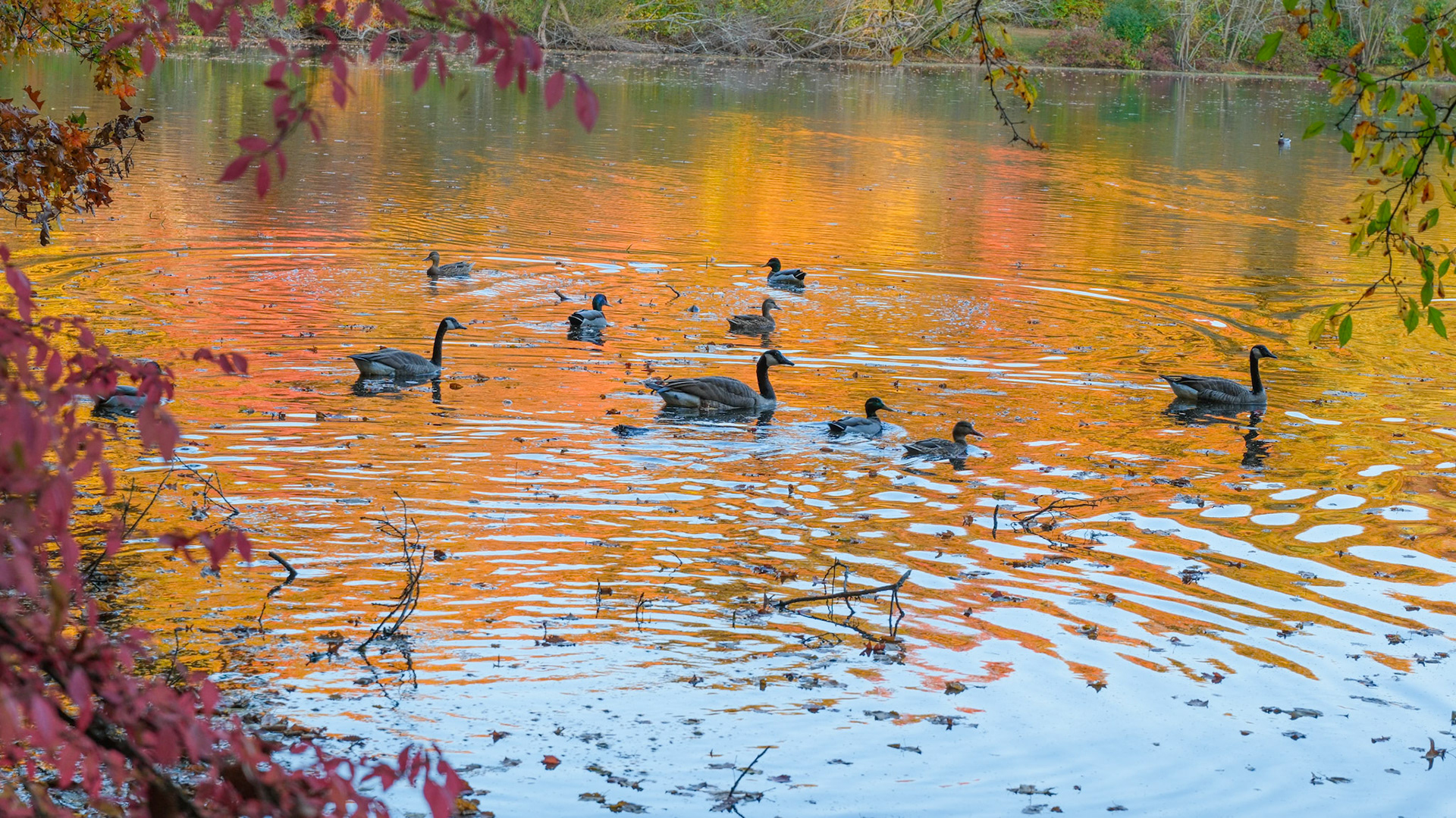 241022-314 Late Afternoon Swim