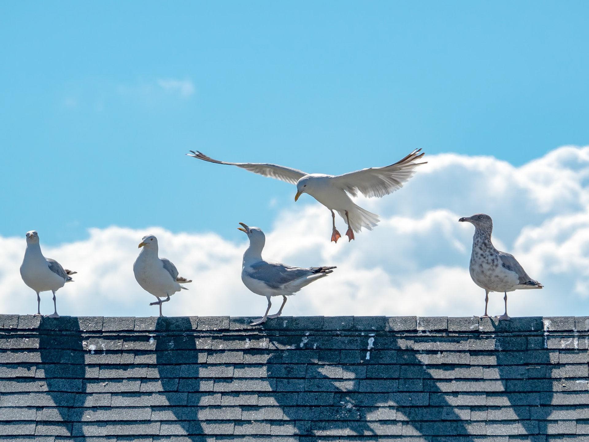 16803248 Landing Zone