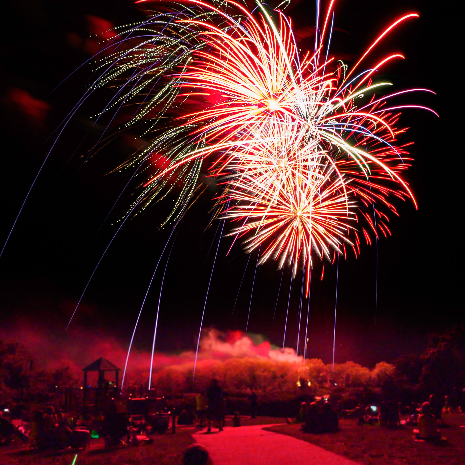 17703012 Blue Streaks in the Red Light