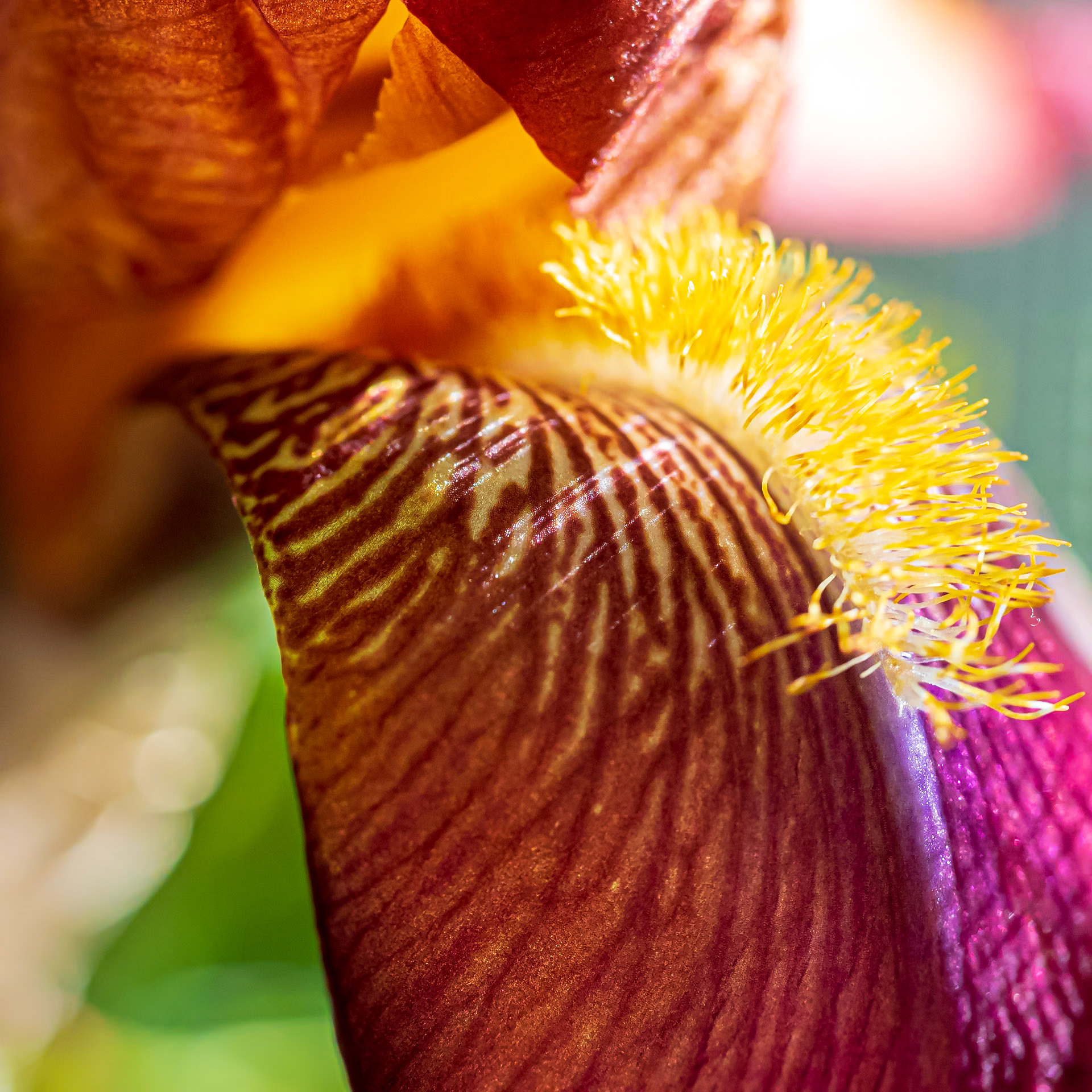 20602115 Awash with Light