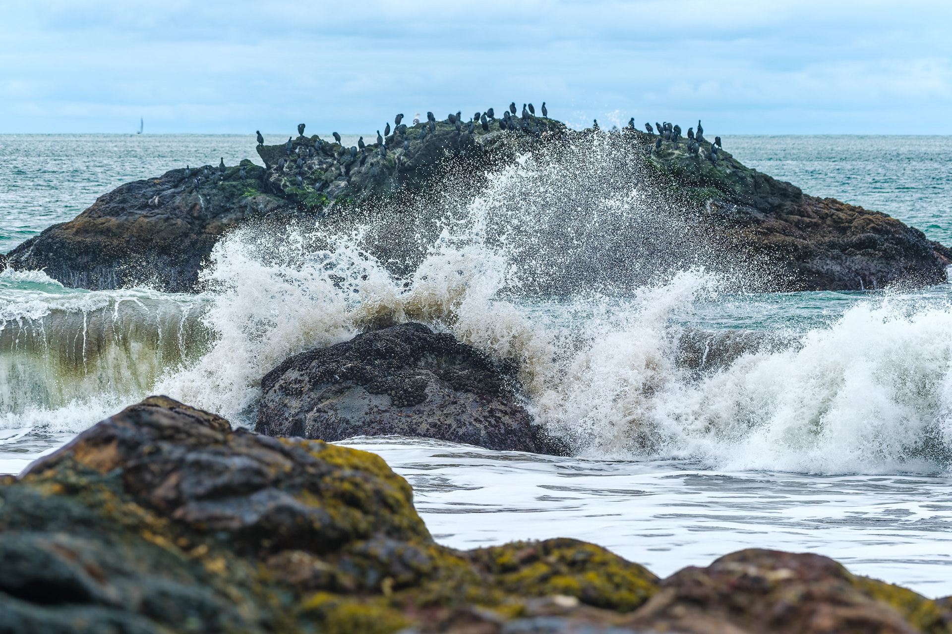 260214-662 Sea Force