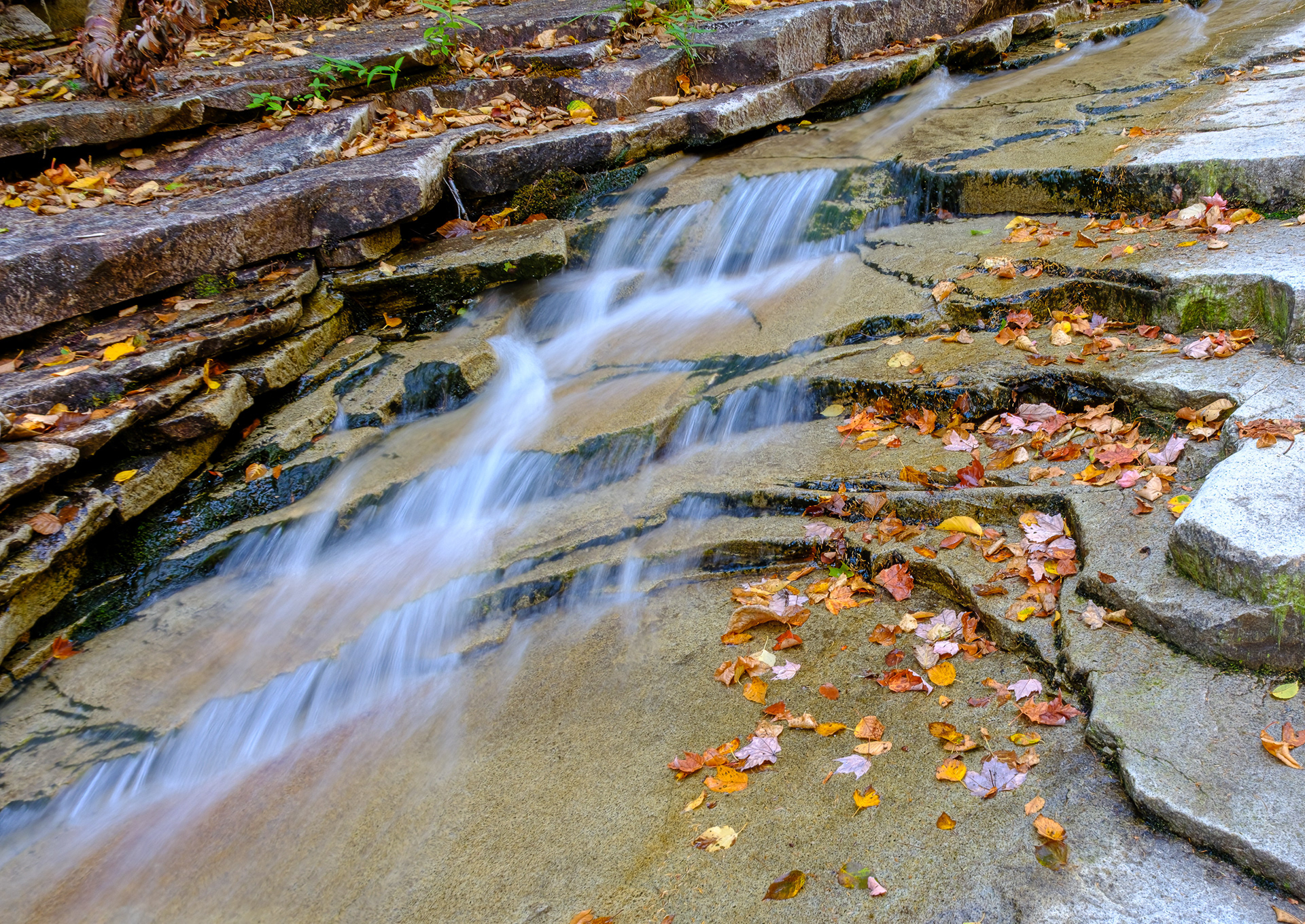 250911-821 Bemis Brook