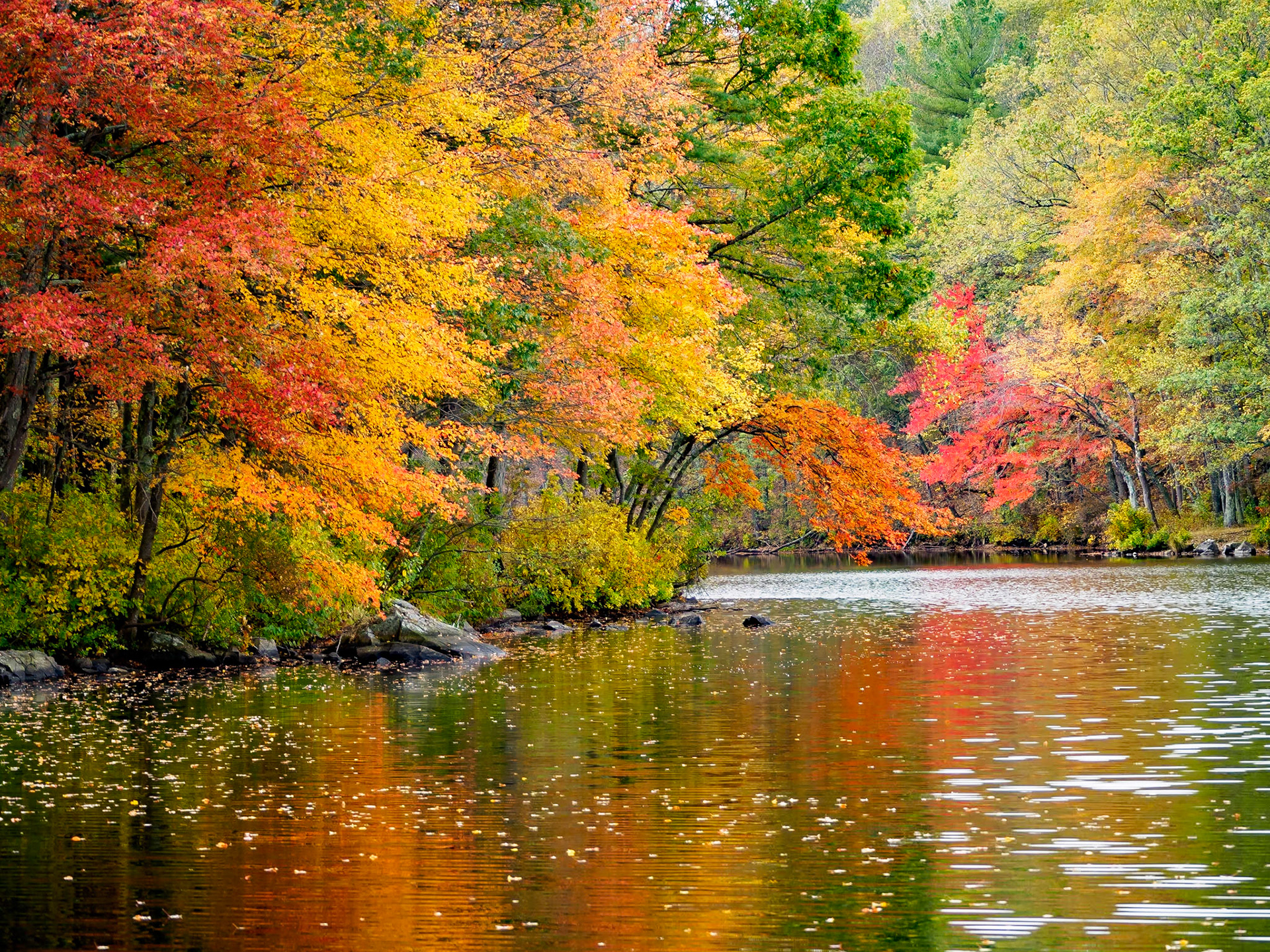 17A23009 Easy on the Eyes