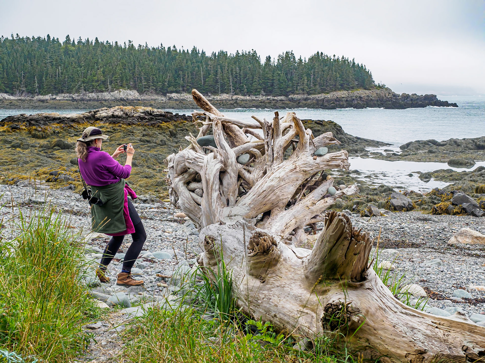 17905429 Bending Backward to Improve the Photo