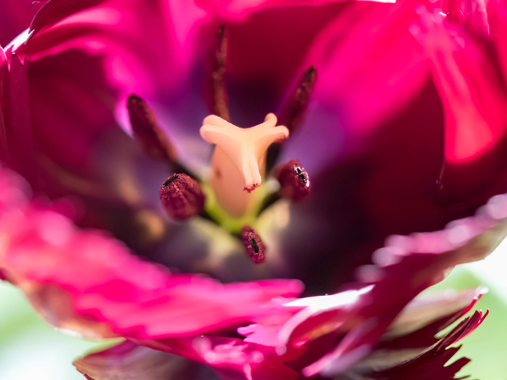 20505001 Inside Zone