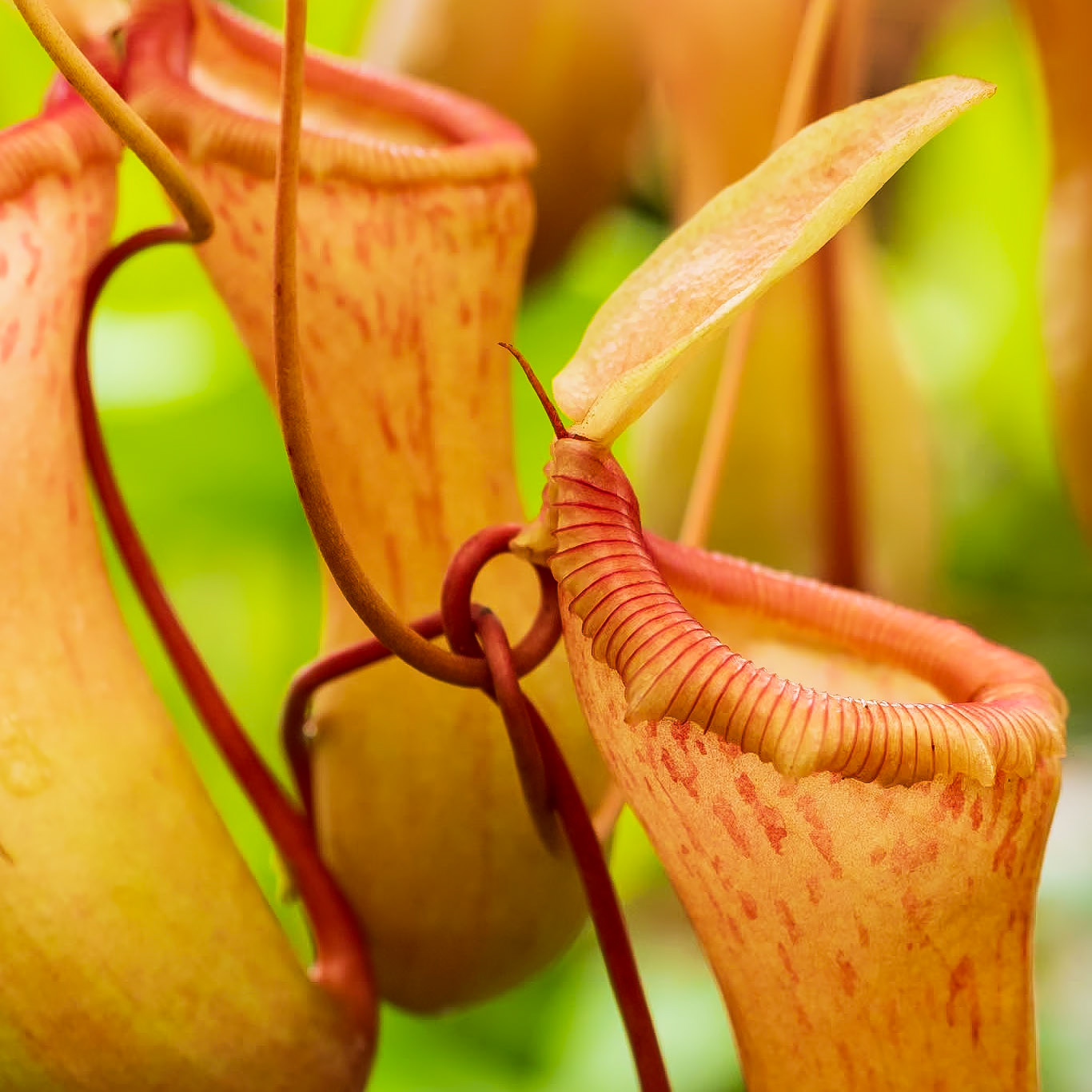 18712008 Hanging Pouches