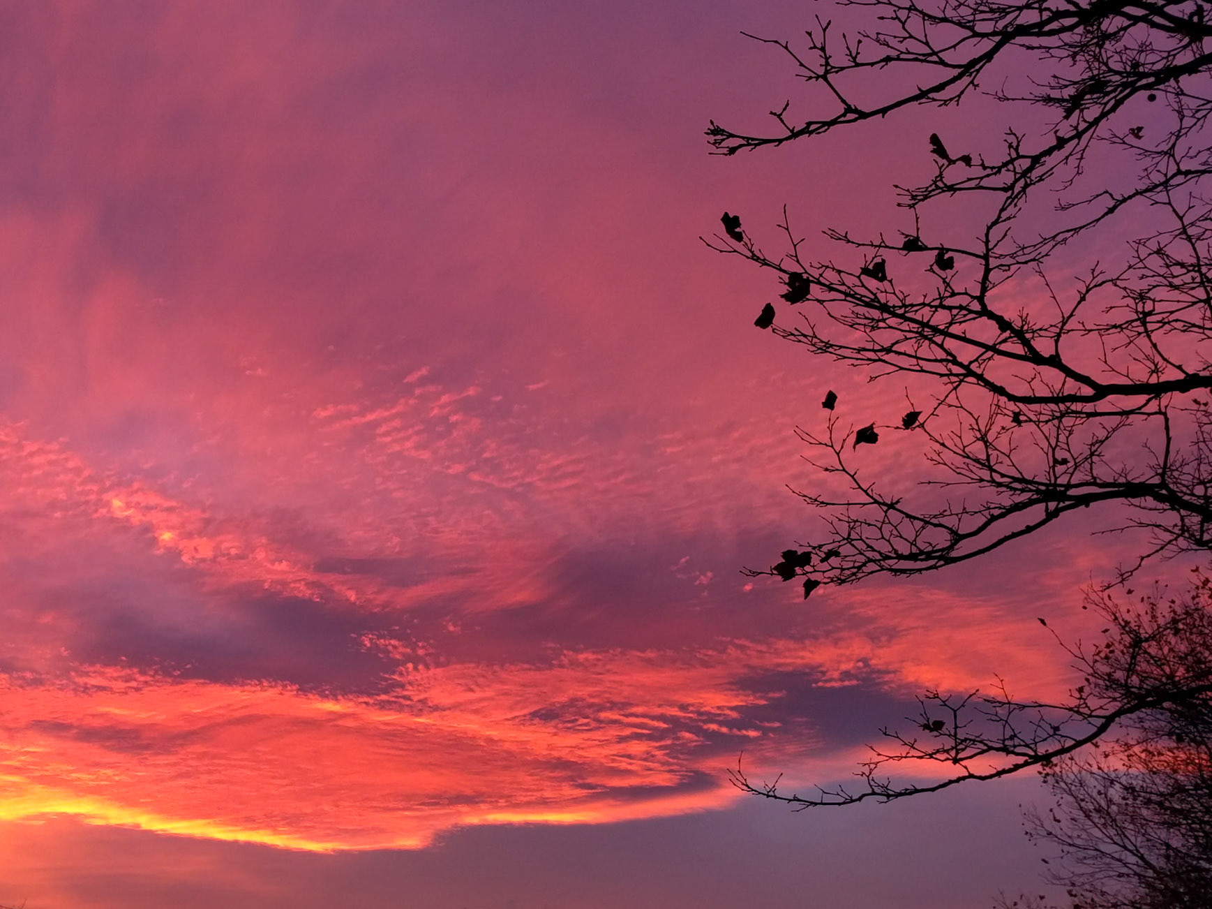 20151115_328 Memorable Sunset 3