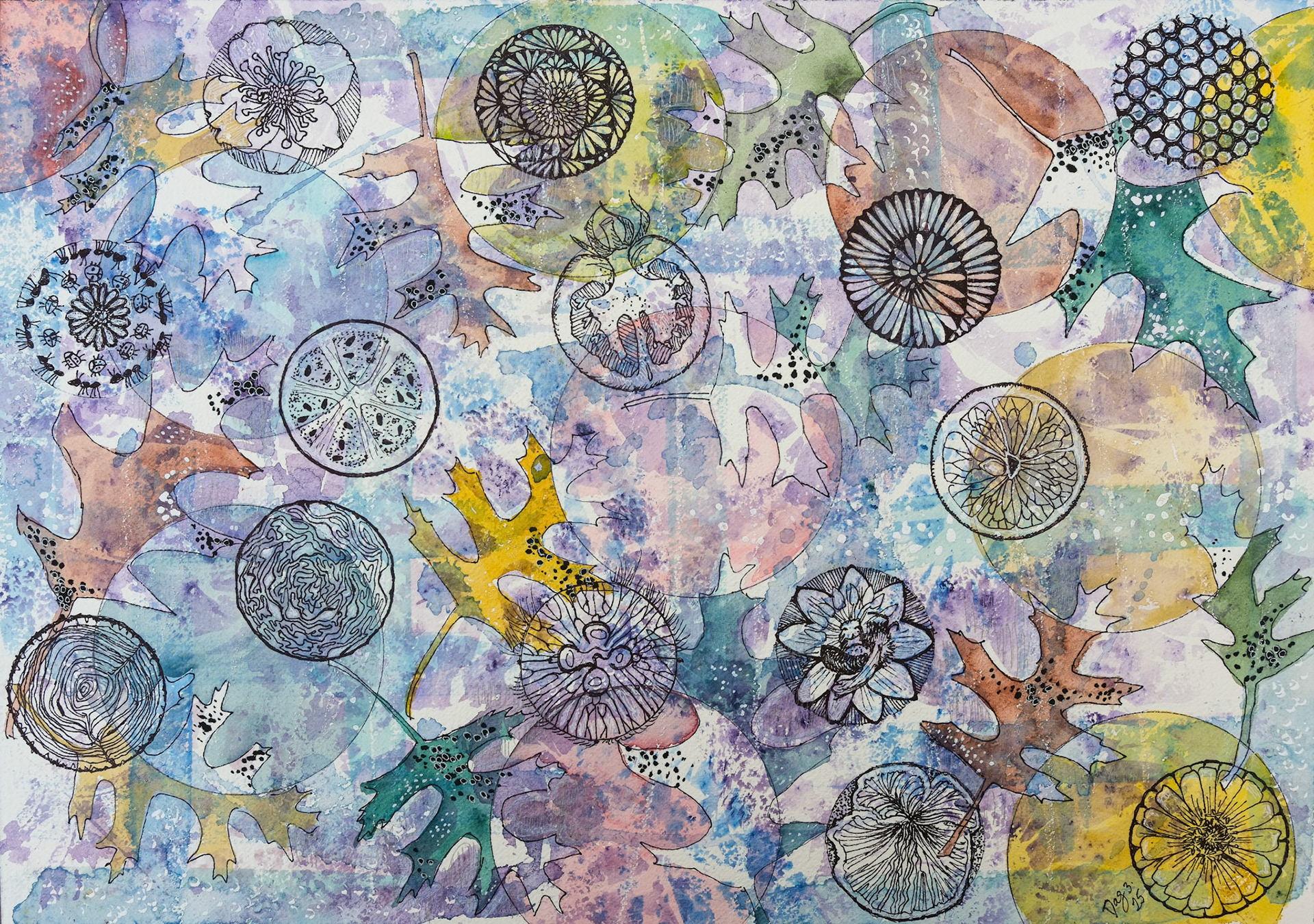 250401 "So Much in Nature to Inspire" ©dag