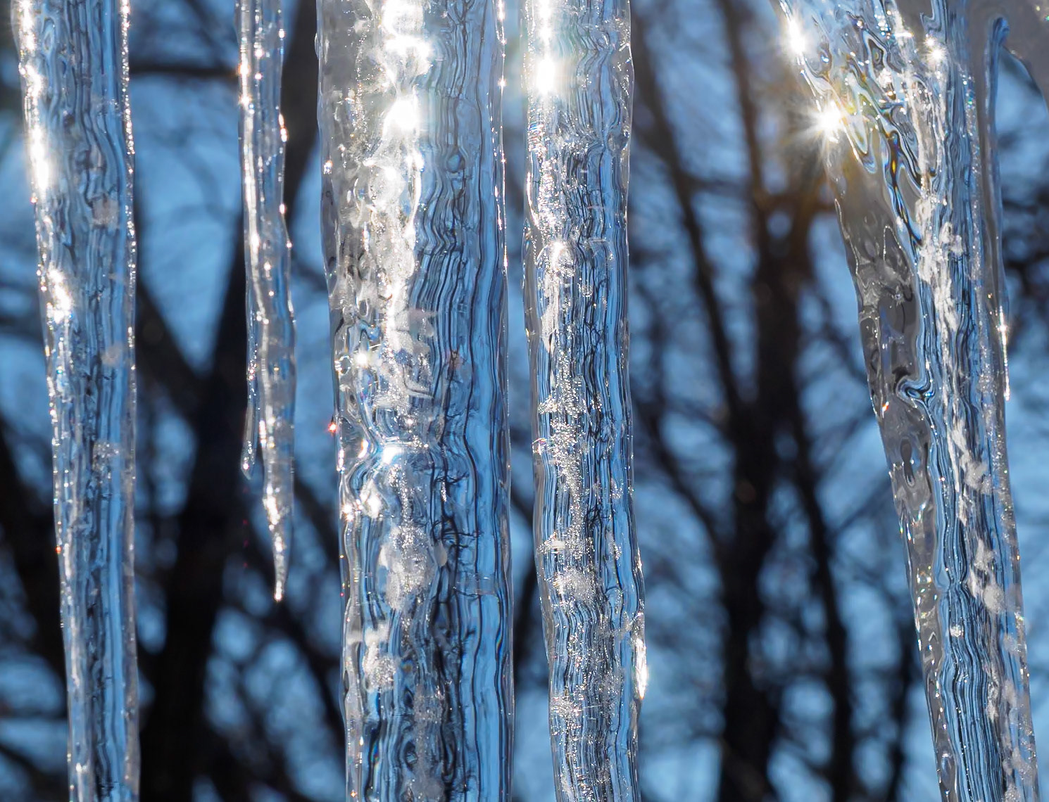 21212003 Icicles Aglow