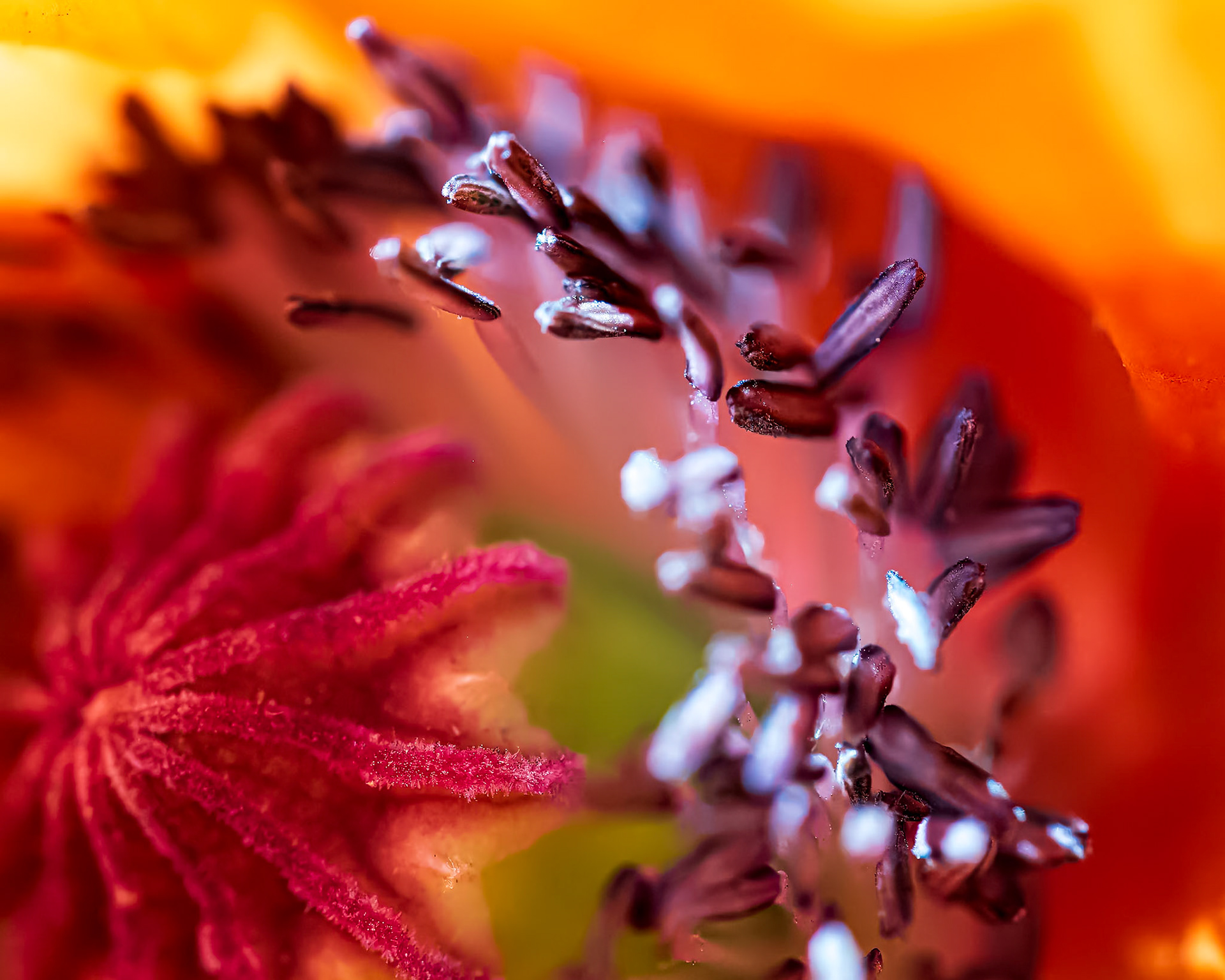 20531106 This Way and That