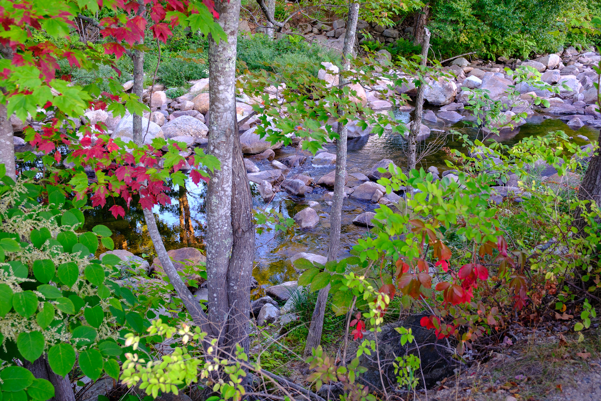 250910-805 Wildcat River in Jackson NH
