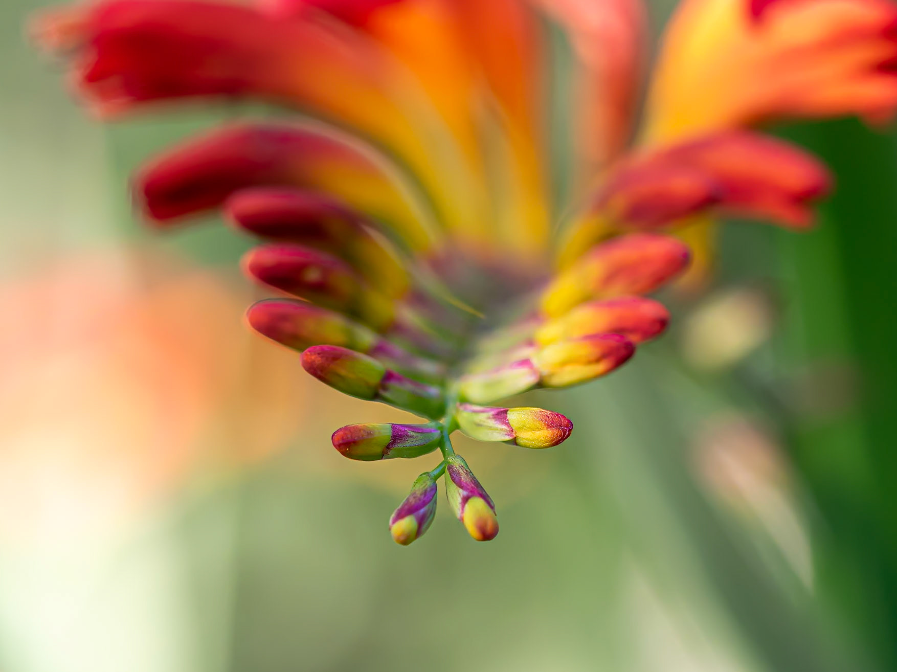 19724049 Warm Gesture