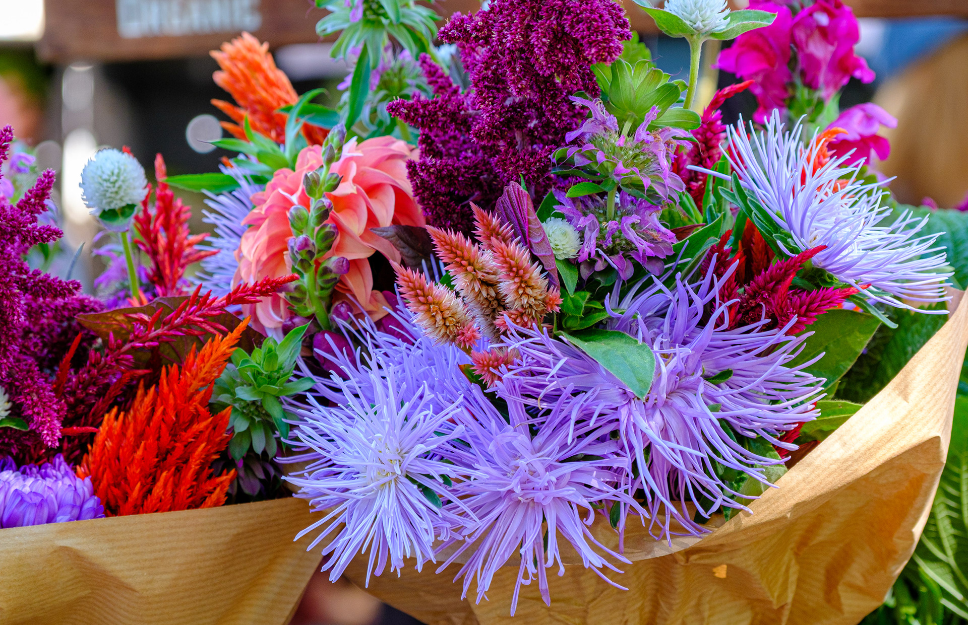 250830-718 Upswing Farm Bouquet 4
