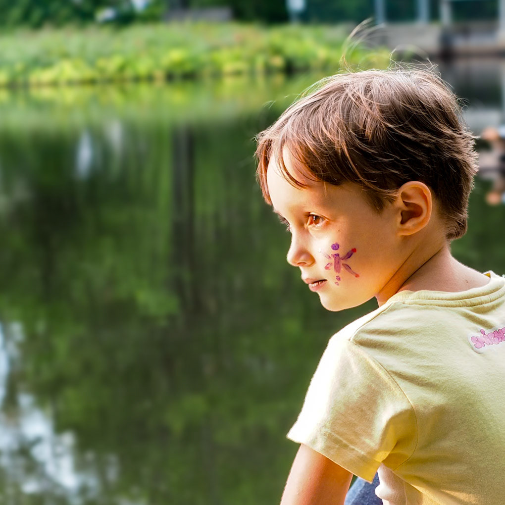 15815515 Late Afternoon Sun