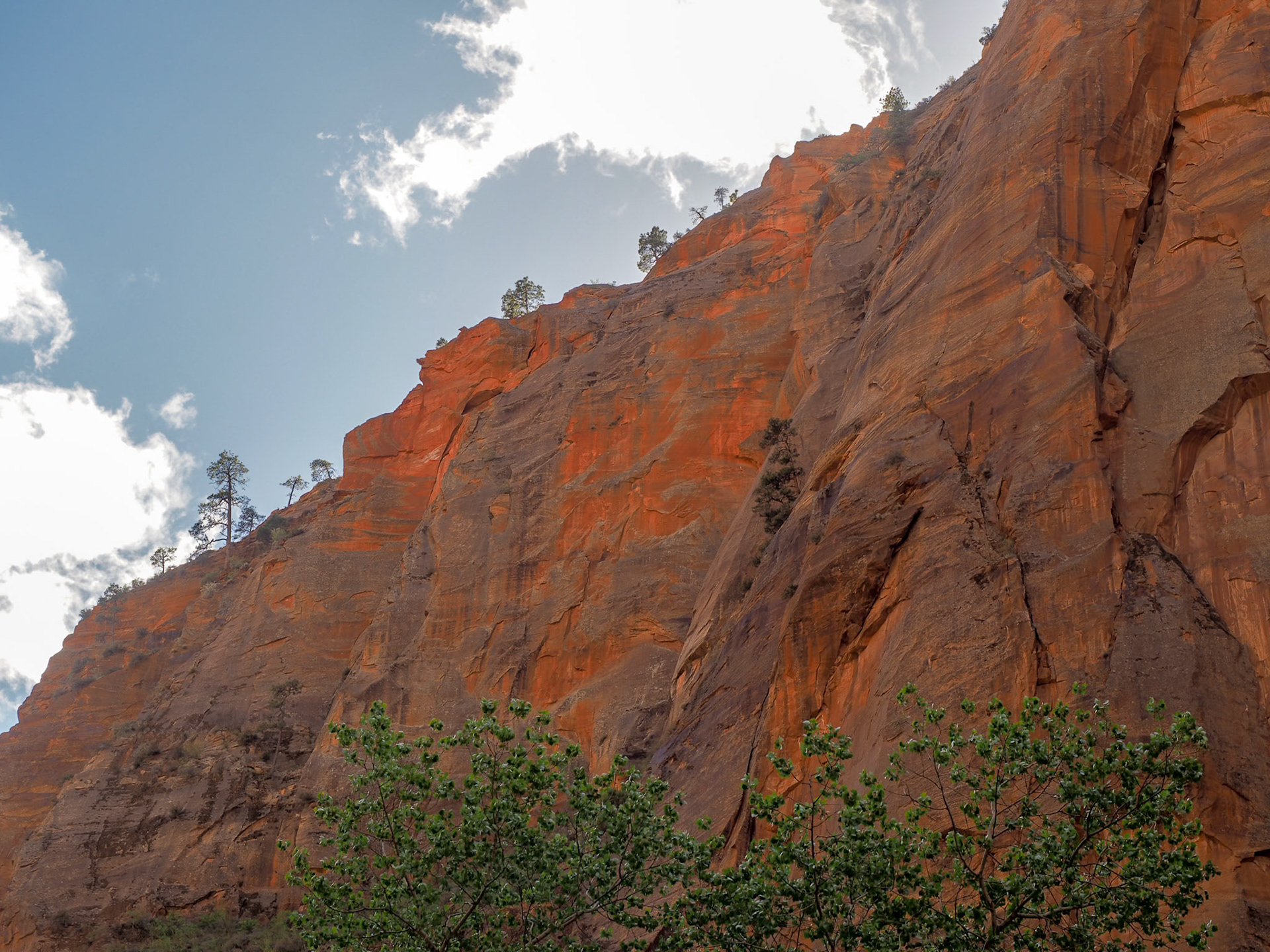 16416217 Late Day Red Walls