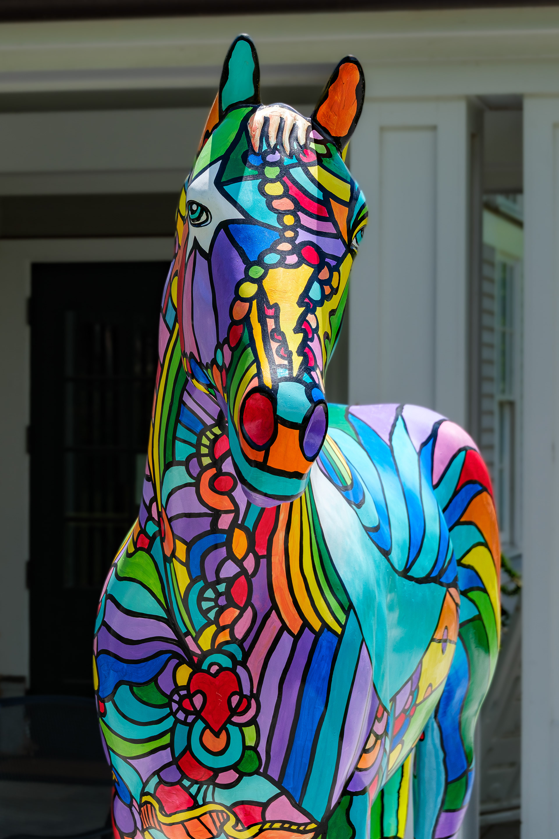 250531-621 Colorful Horse