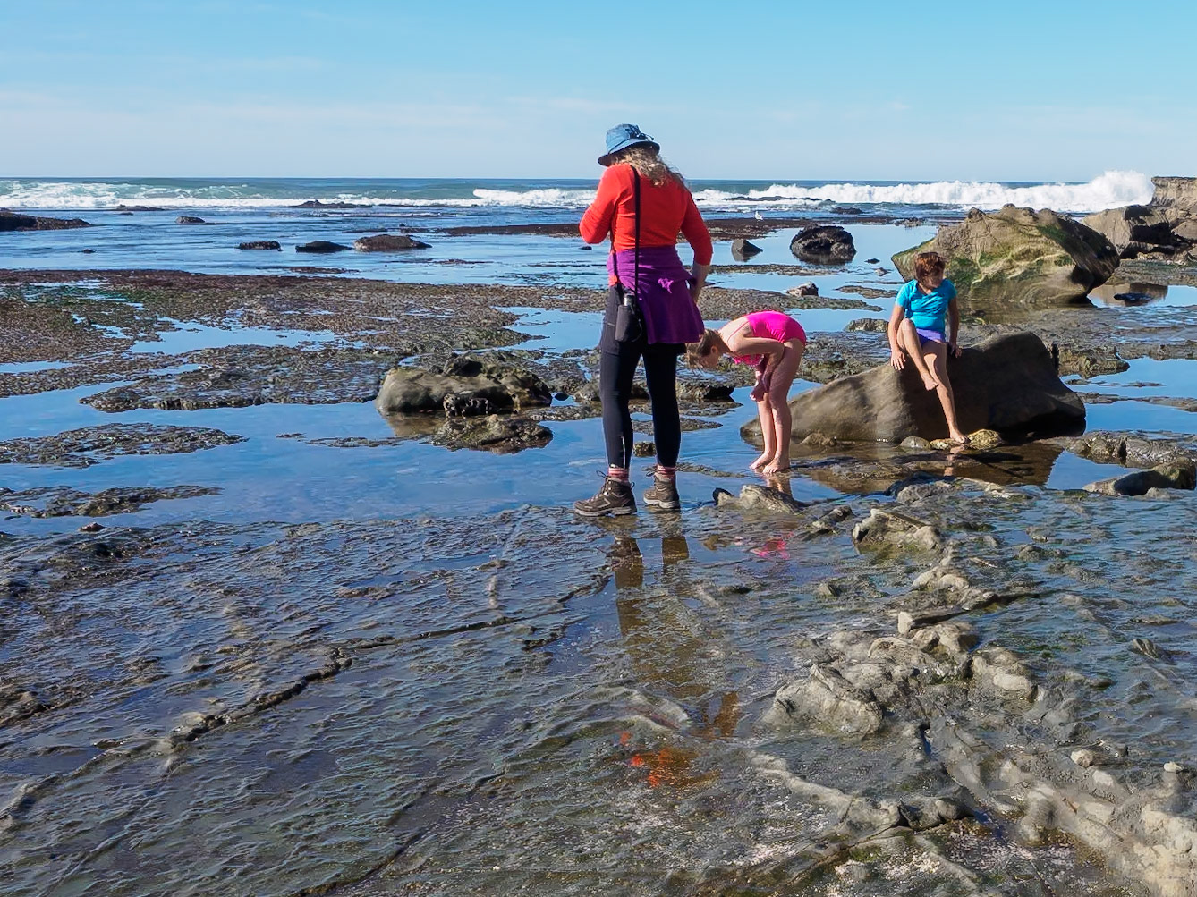 18128459 Exploring Tide Pools