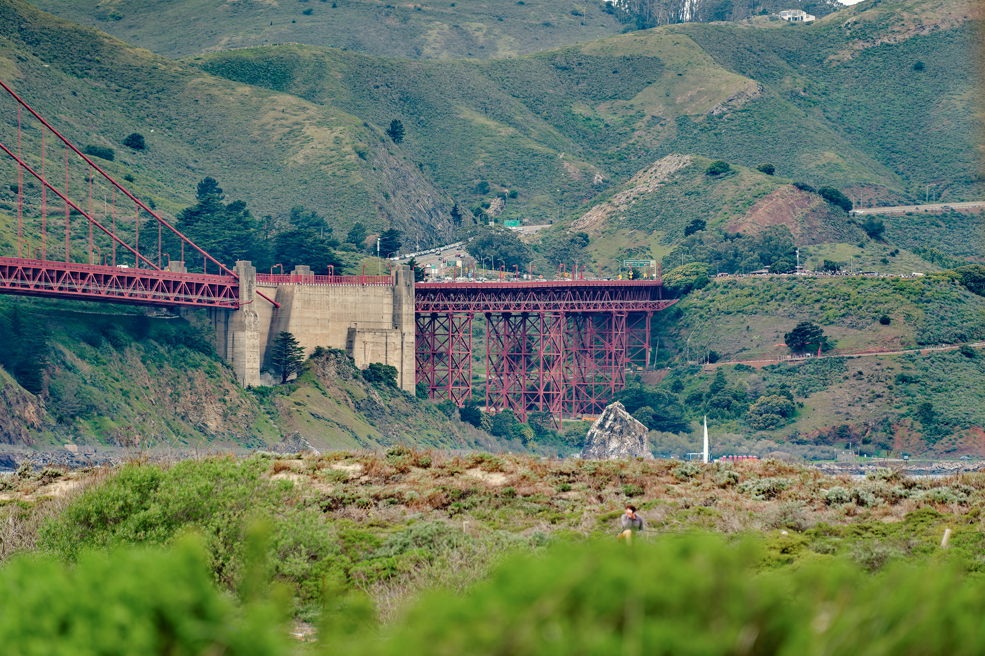 260214-668 GG Meets Marin Headlands