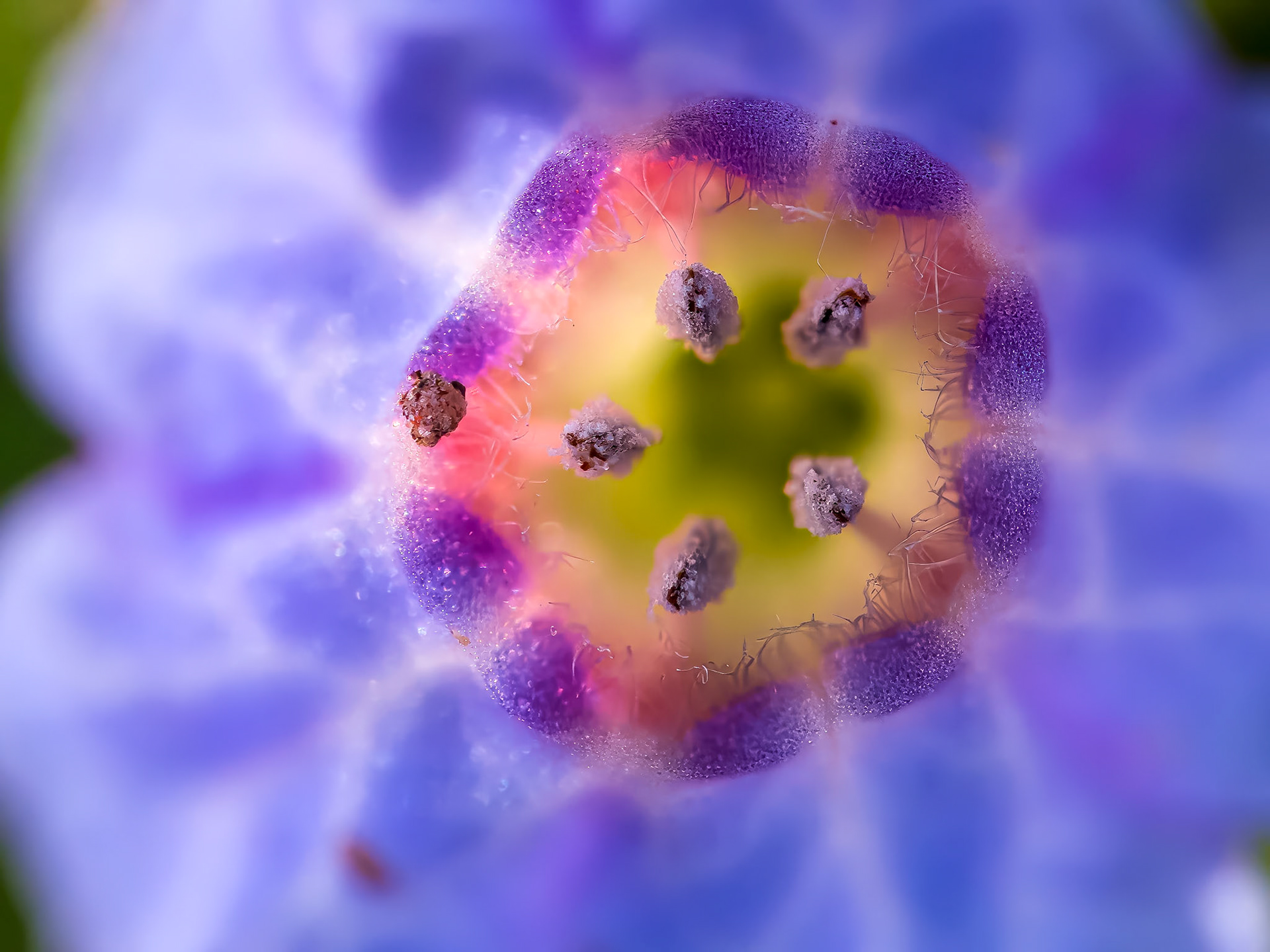 19423042 New Life Forming