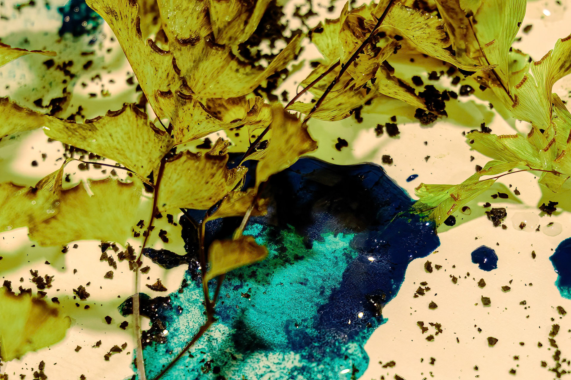 241230-602