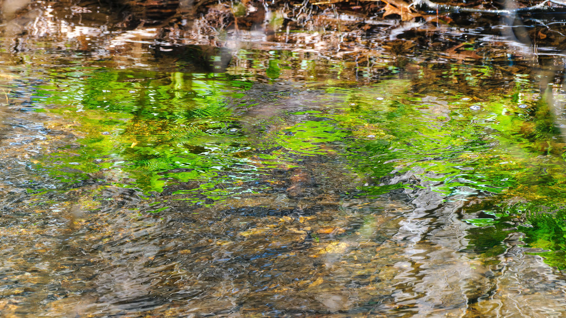 250424-702 Landham Brook