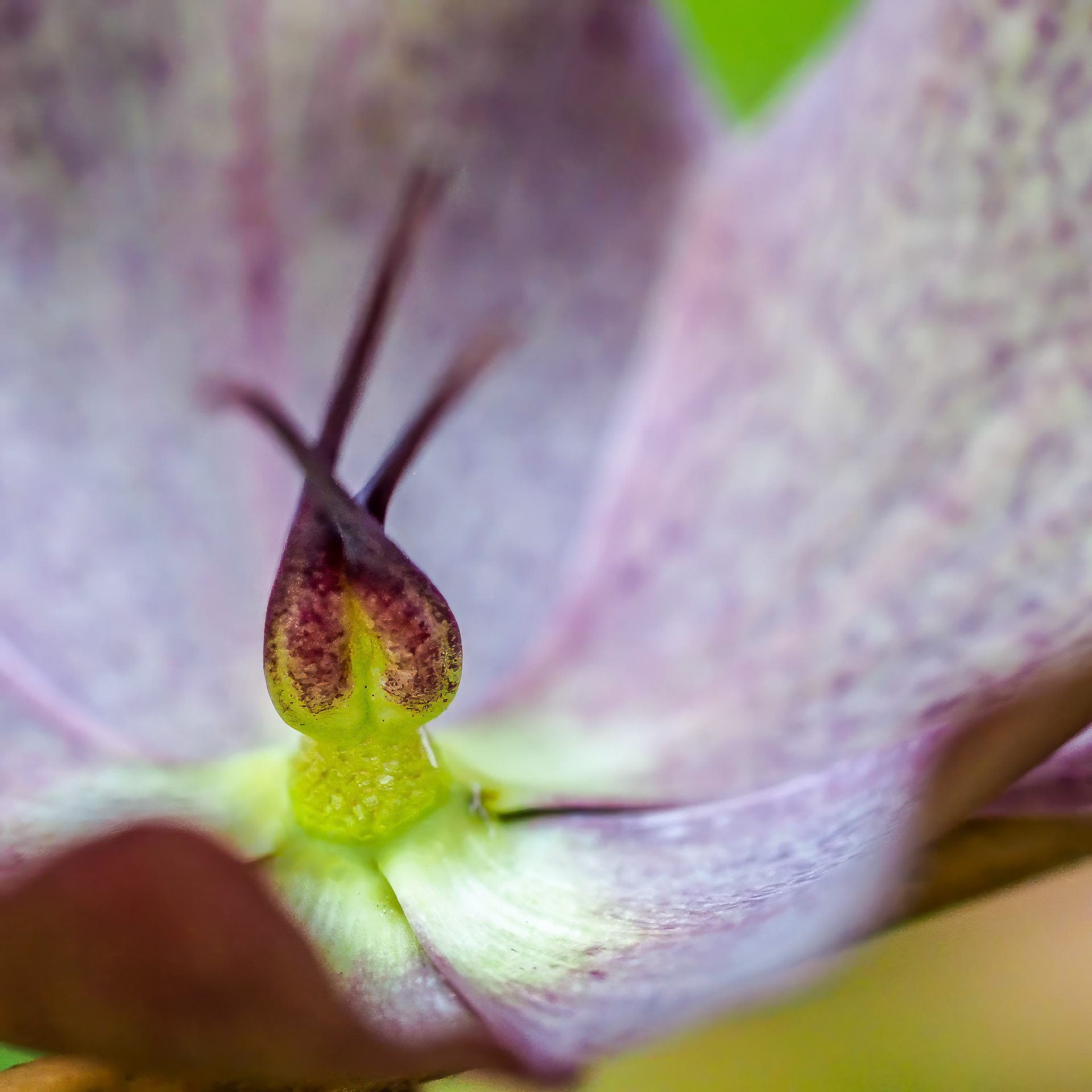 16428104 Center Mount