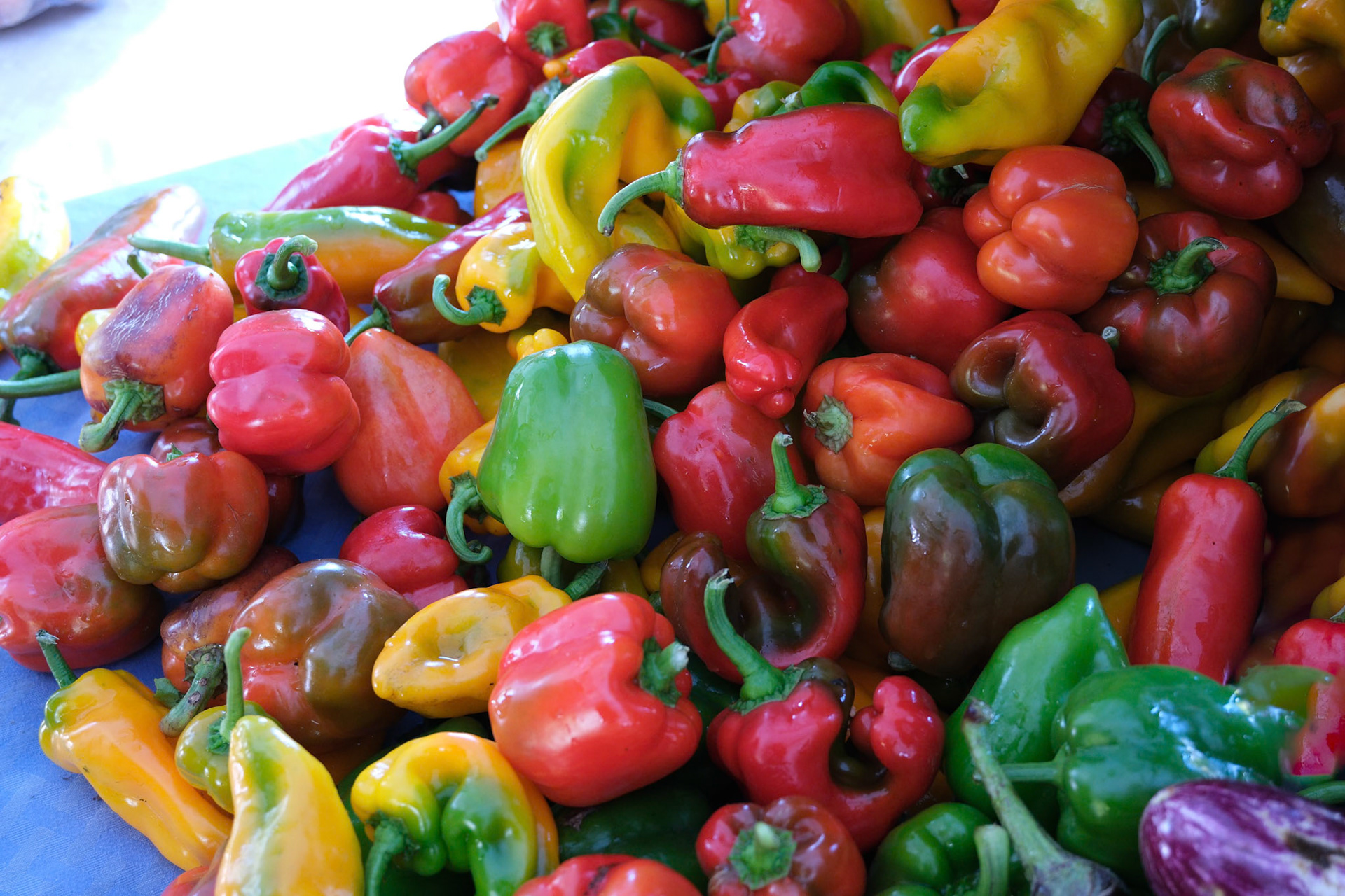 241019-146 Market Peppers