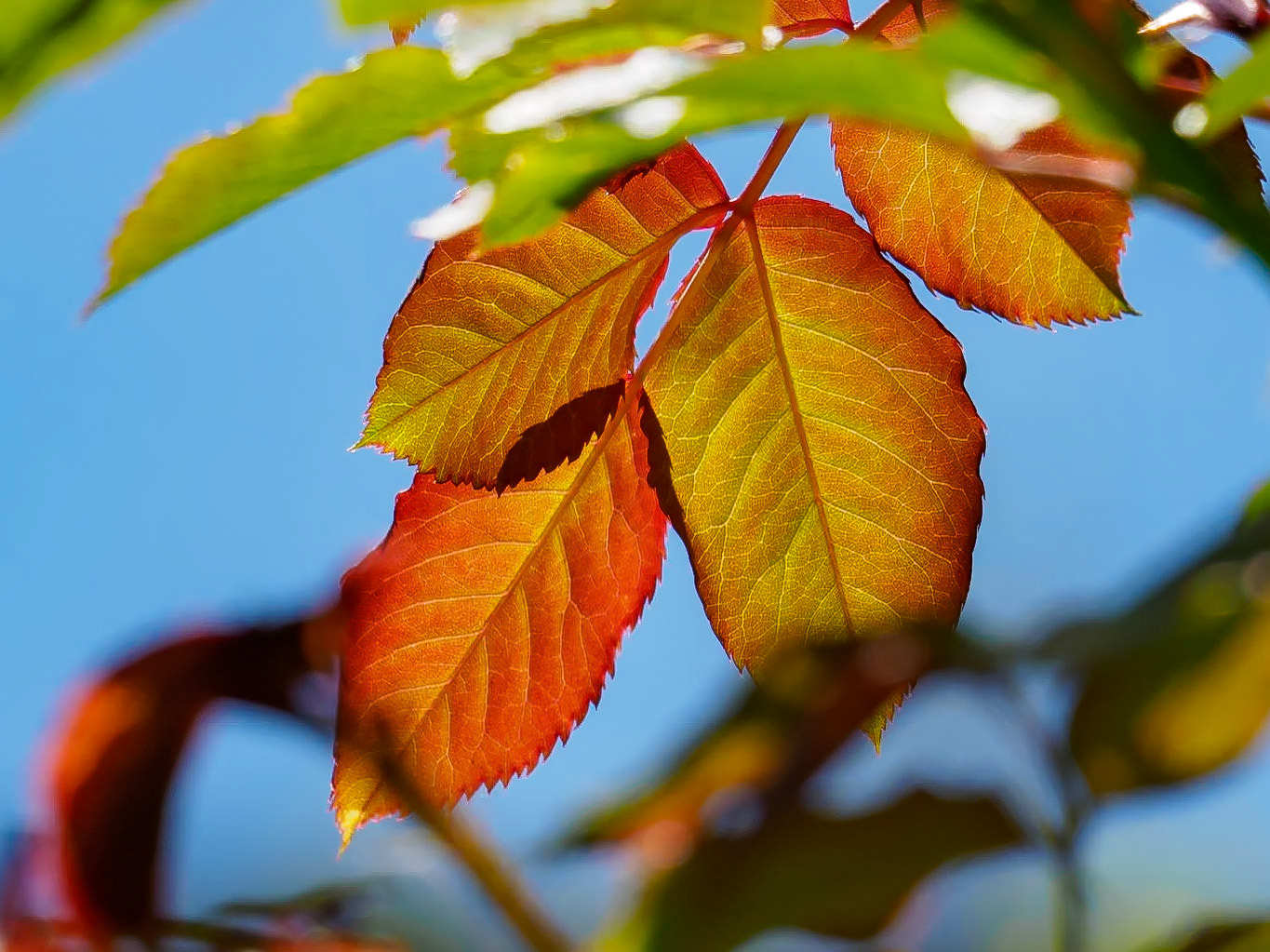 18511010 Negative Space