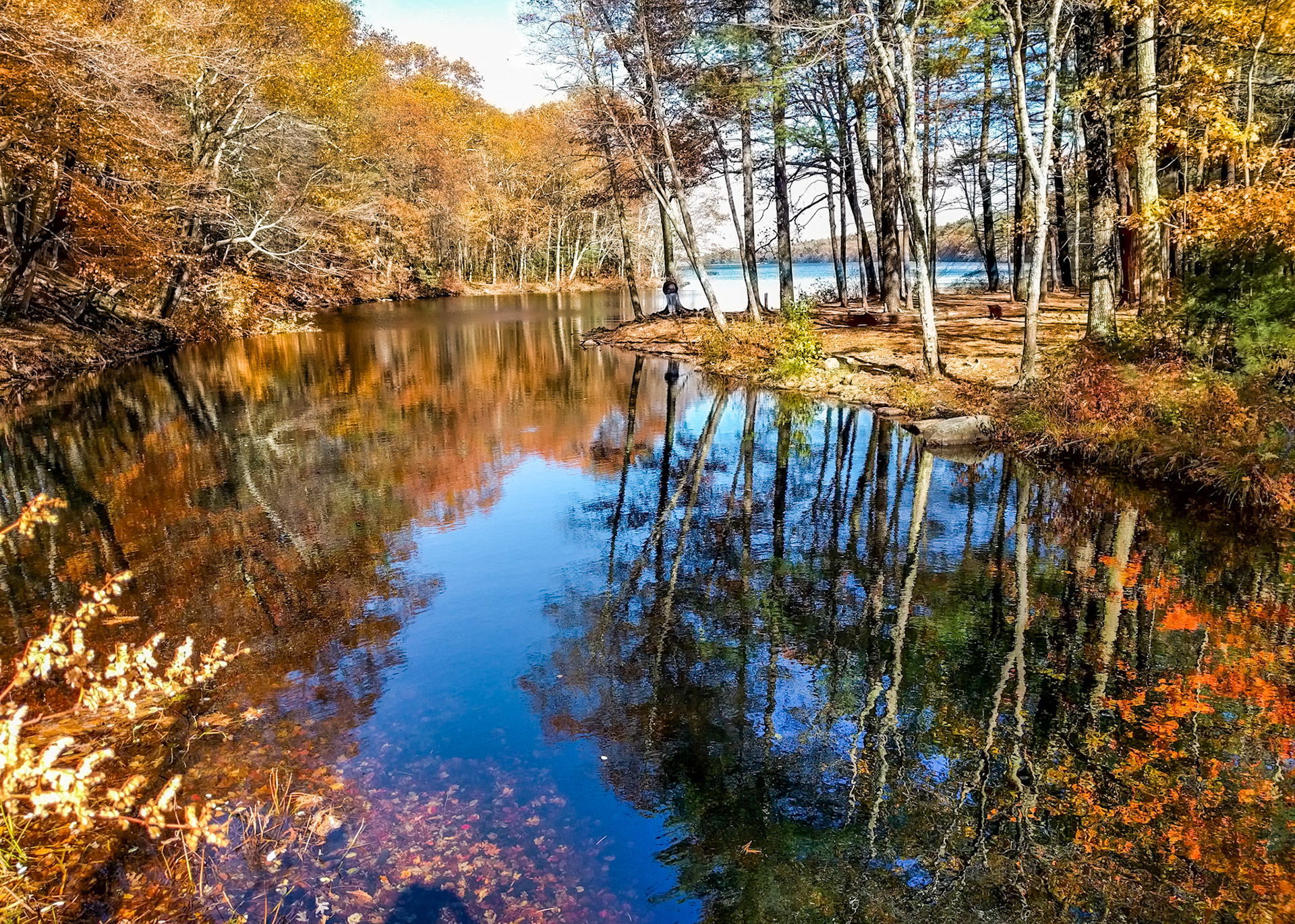 15A29351 End of the Res