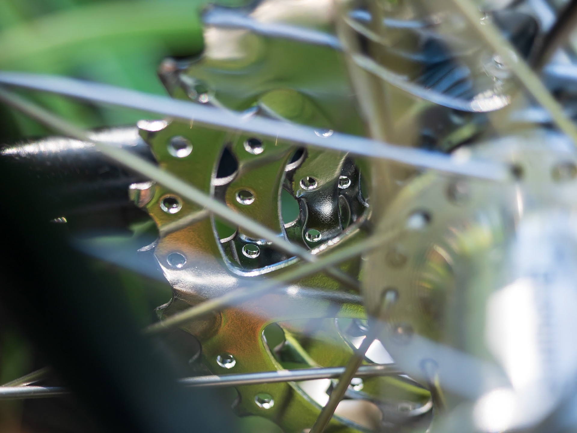 18A16014 Shiny Holey Teeth