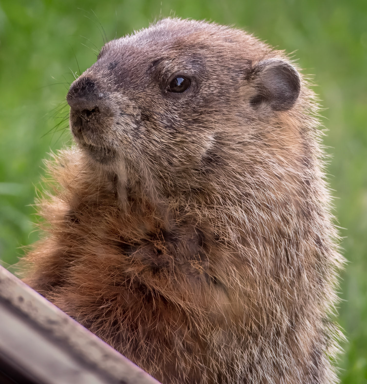 15526027 Checking Out the Classroom Offerings