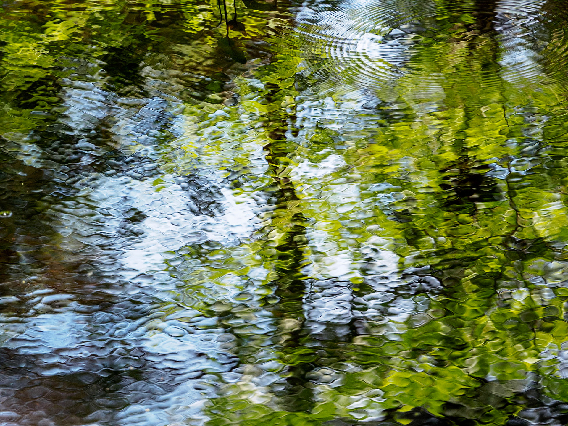 15617225 Water Painting