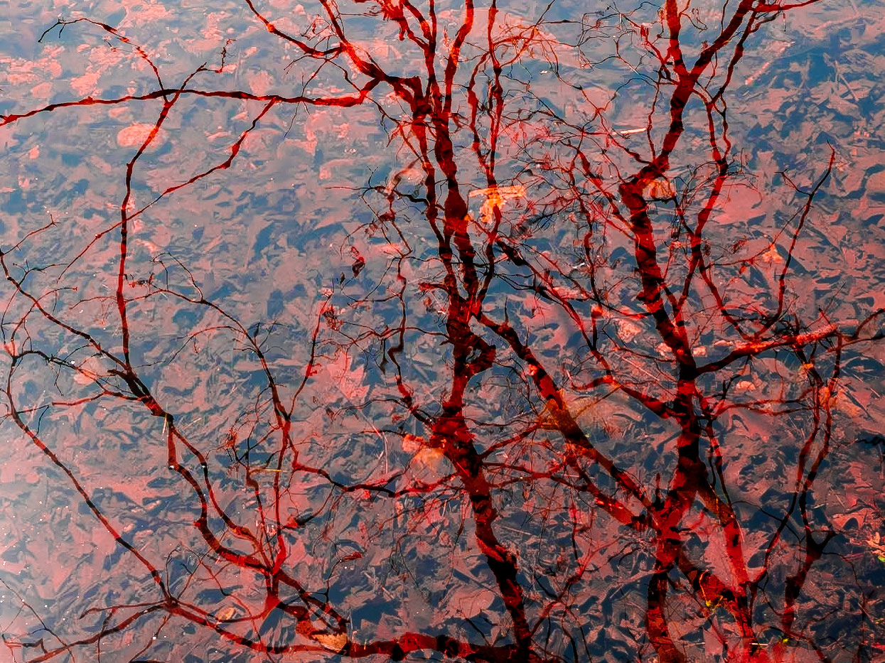 17601003 See Through