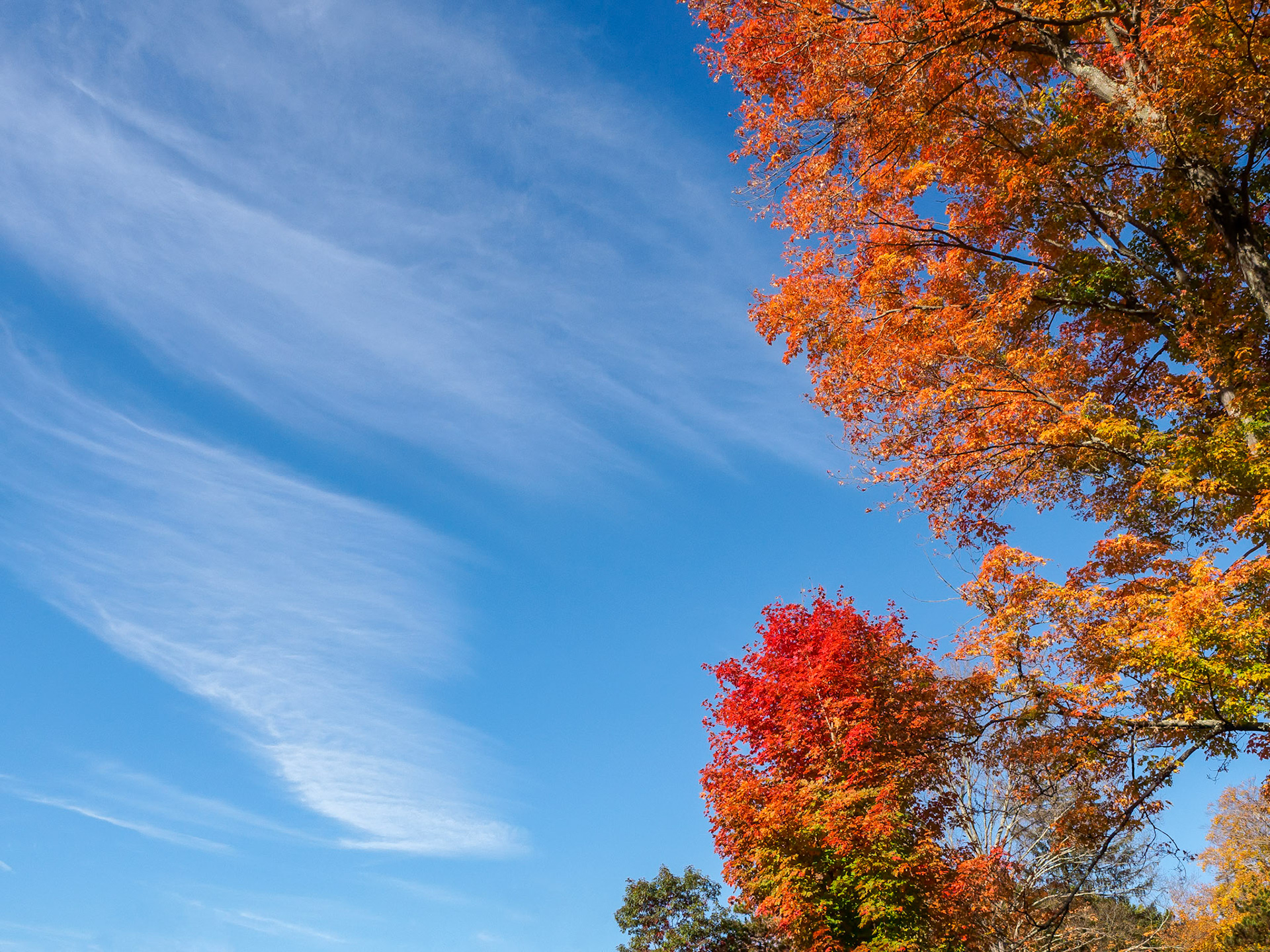 16A20004 Sky Painting 2