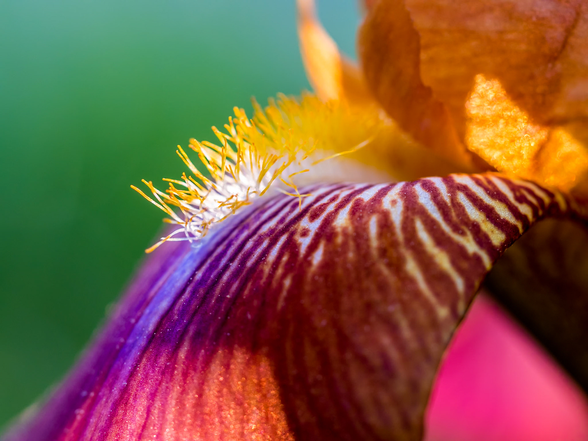 15528169 A Closer Look