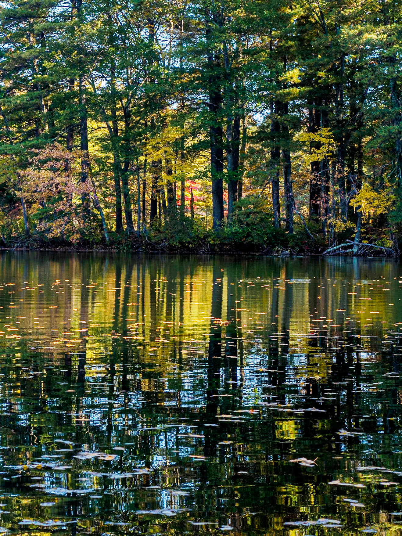 15A15096 Reflections Two