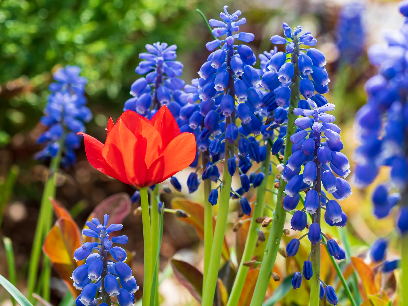 21502009 Standing Out