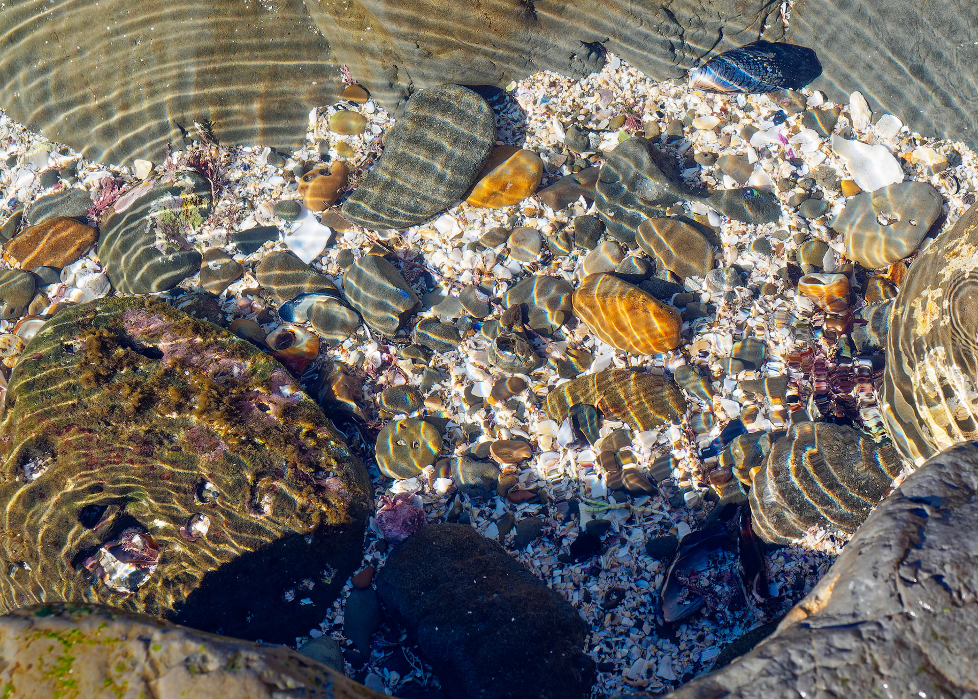 18128476 Lines of Reflection