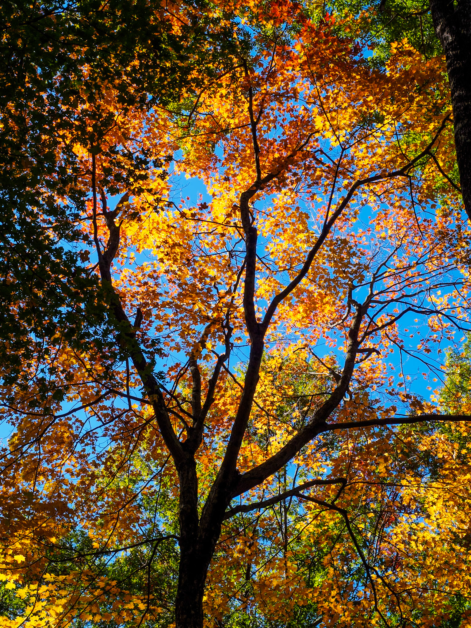 15A15012 Another Angle