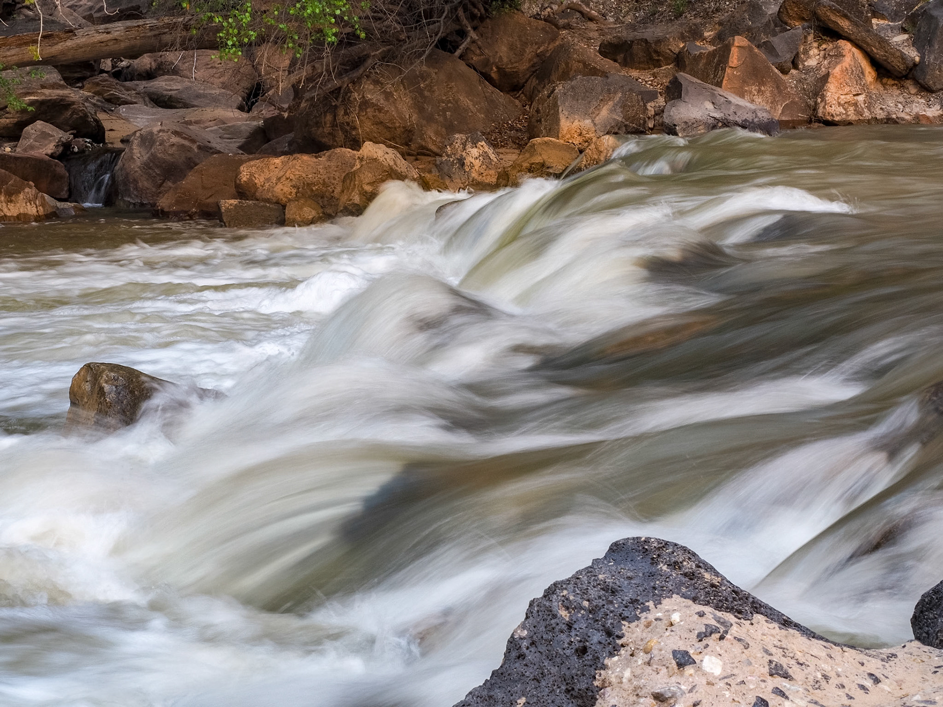 16416214 Silky Virgin River