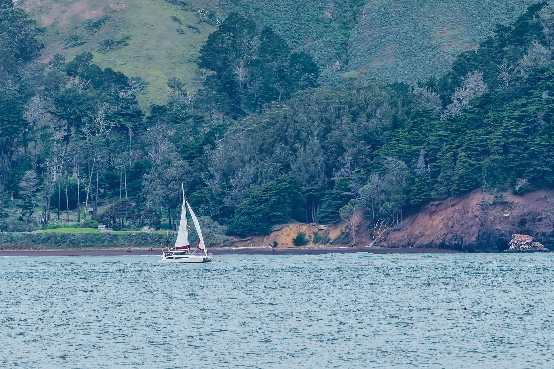 260214-656 Sailing Towards GG