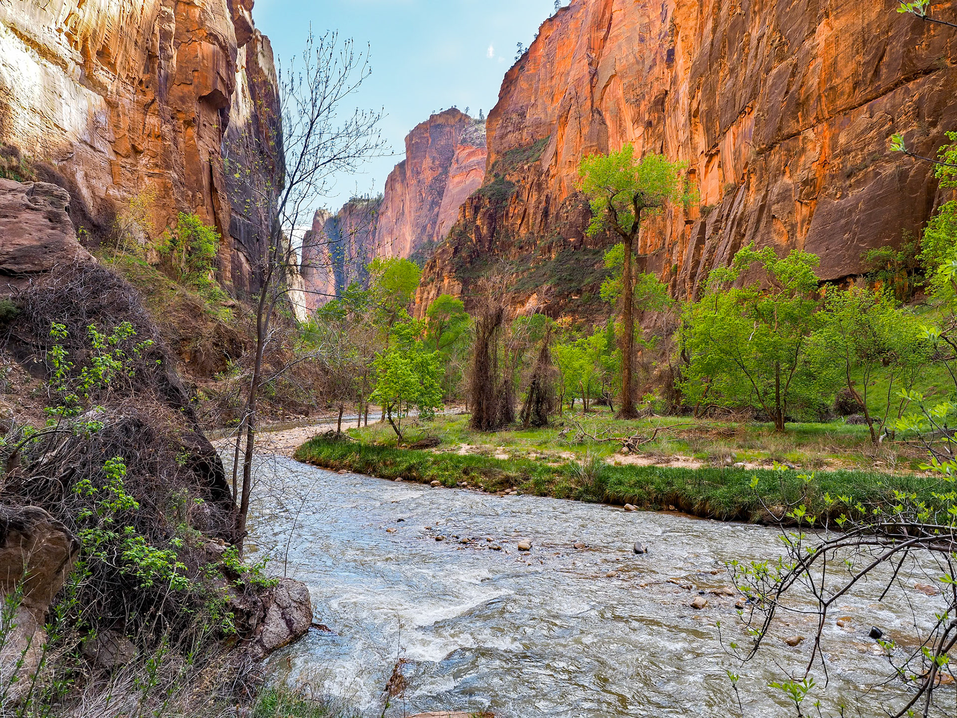 16416264 Virgin River near Temple of Sinawava