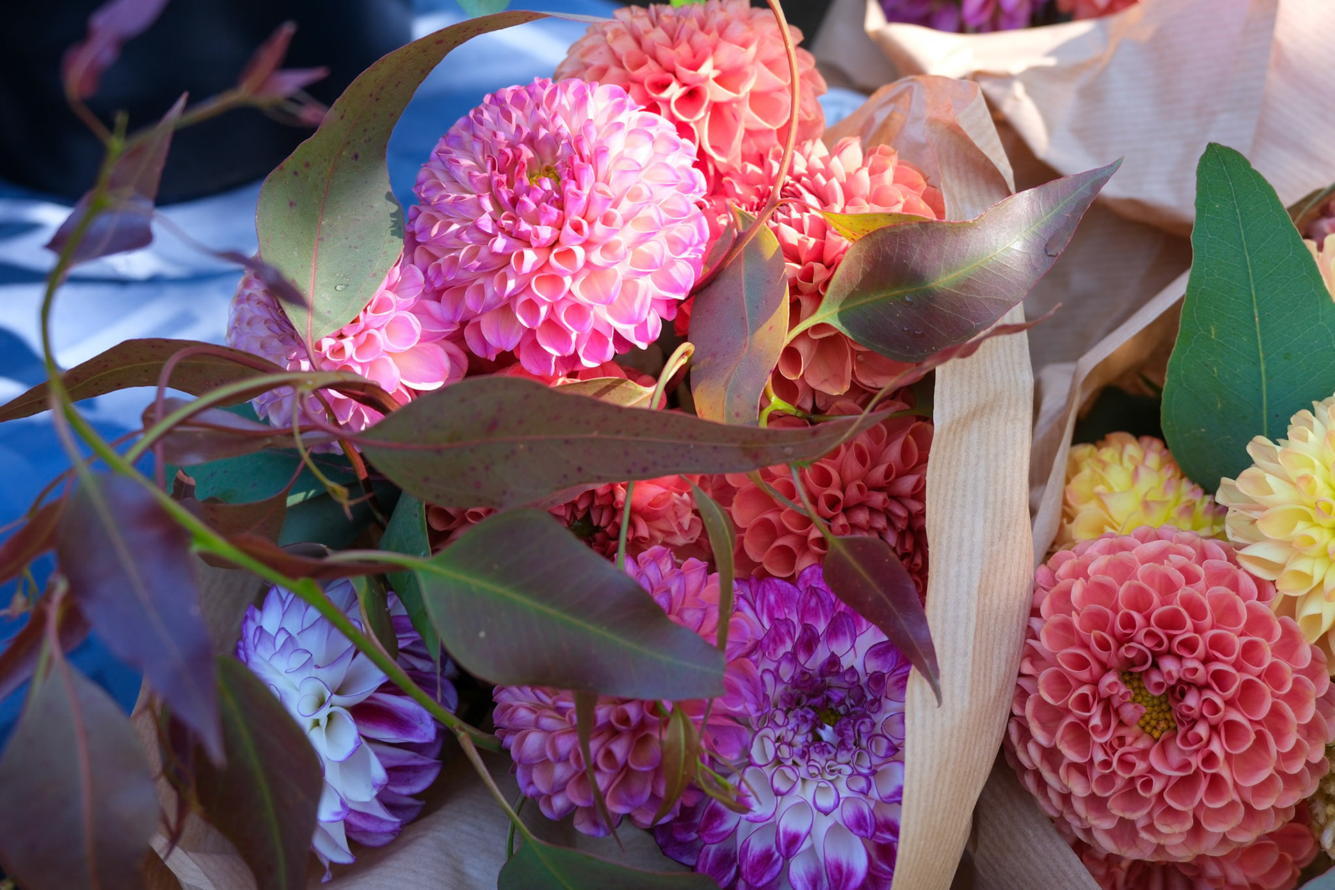 241019-141 Market Bouquet