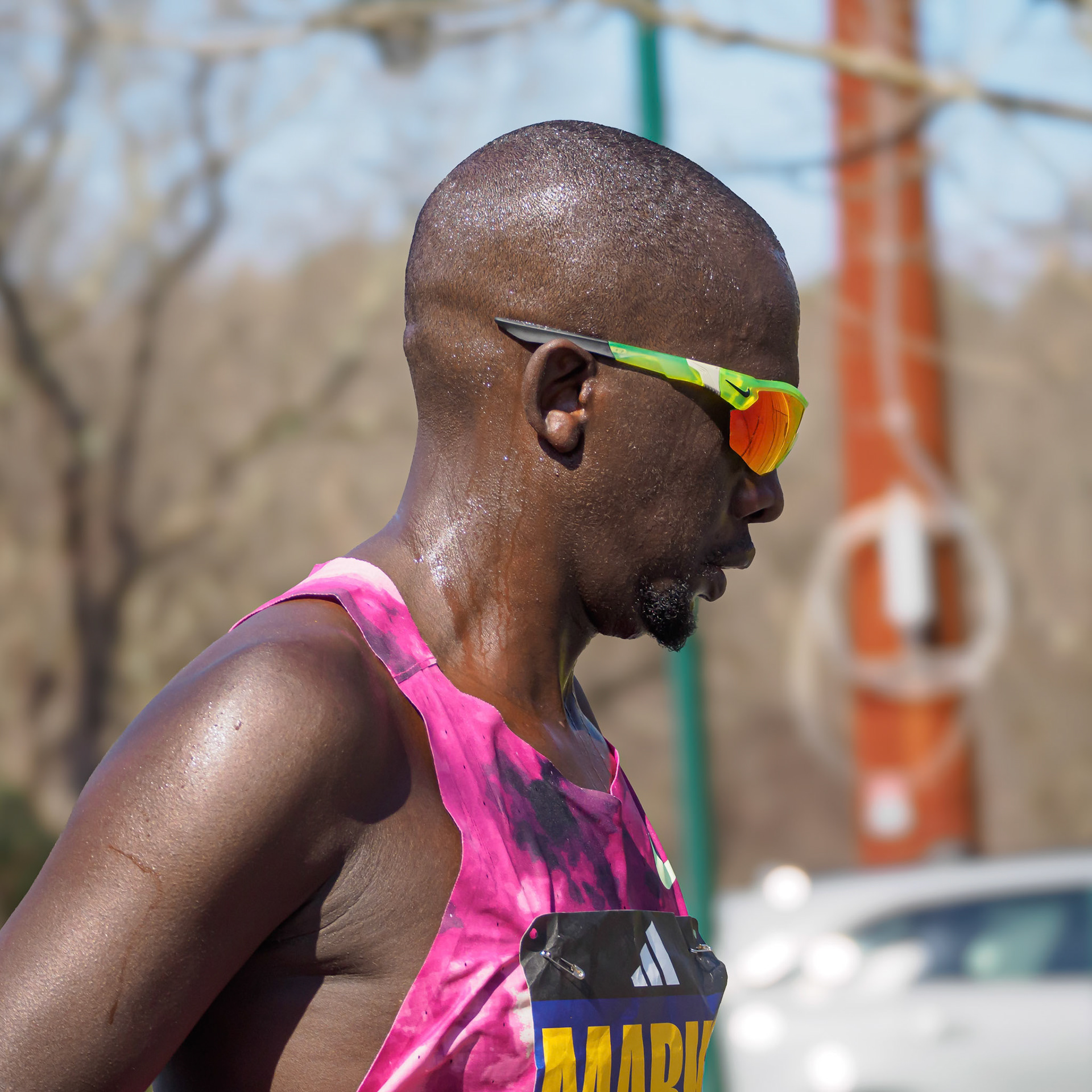 24415155 Cheseto Lemtukei, Marko