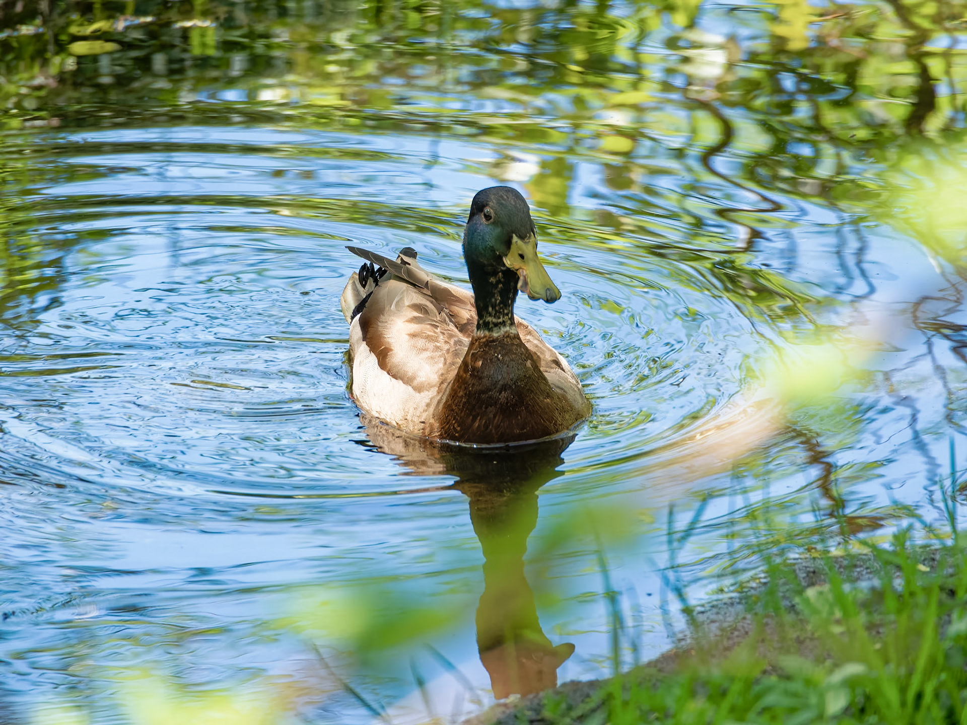 18511065 Reflective Wading