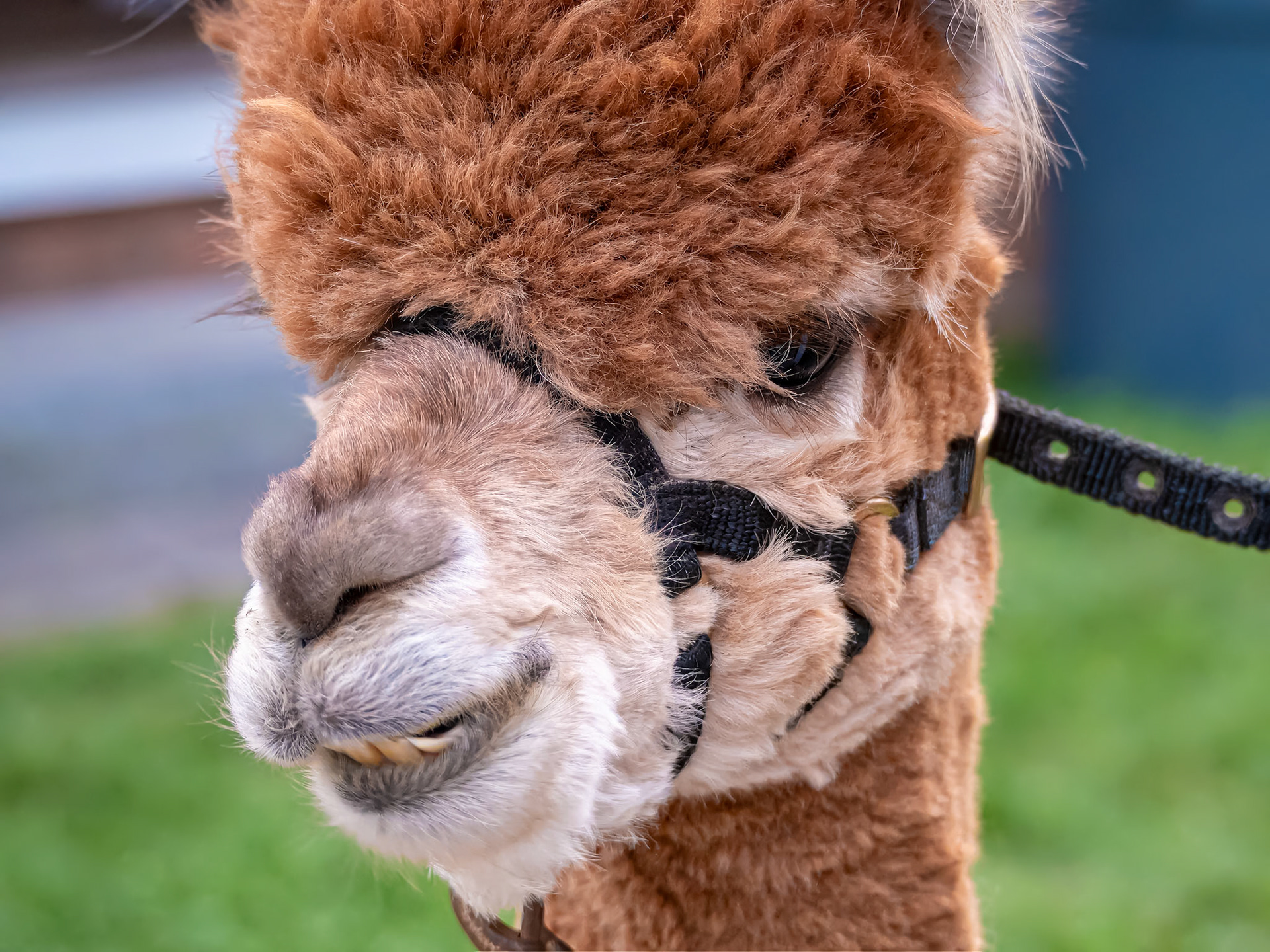 19907012 Smiling For the Camera